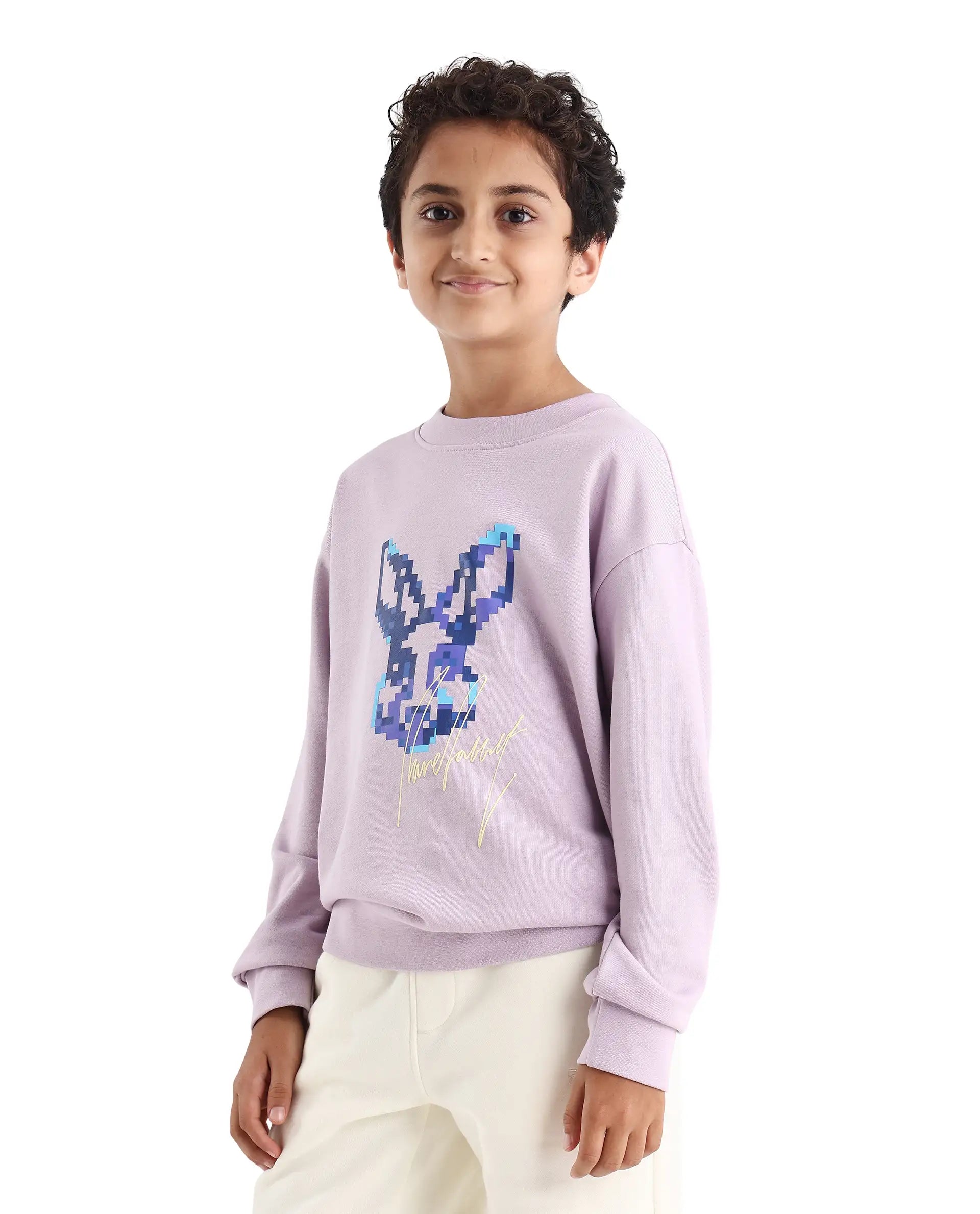 Rare Ones Kids Iver Pastel Purple Cotton Blend Pull On Crew Neck Full Sleeves Fit Sweatshirt