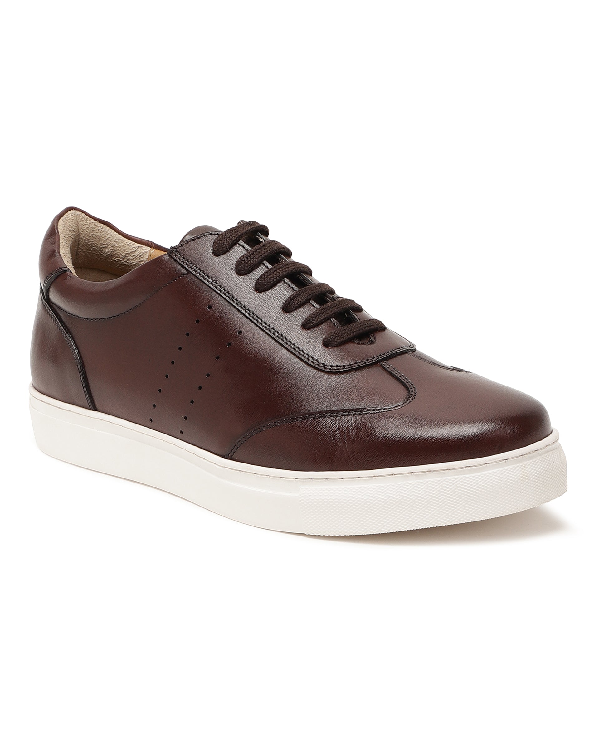Rare Rabbit Men's Sterre 1 Brown Classic Oxford Styled Low-Top Sneakers Shoes