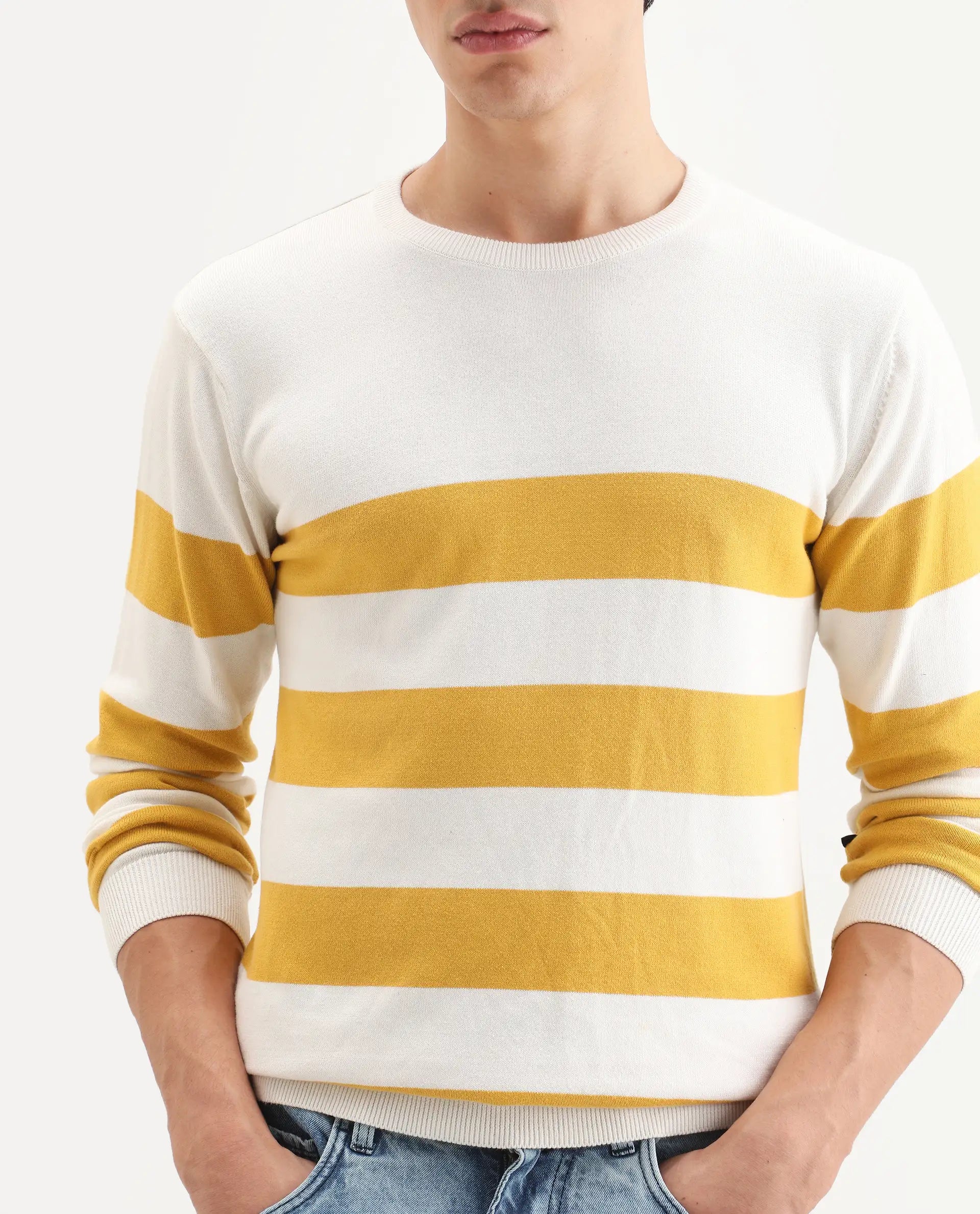 Rare Rabbit Men's Marri Yellow Cotton Striped Print Regular Fit Full Sleeve Crew Neck Sweater