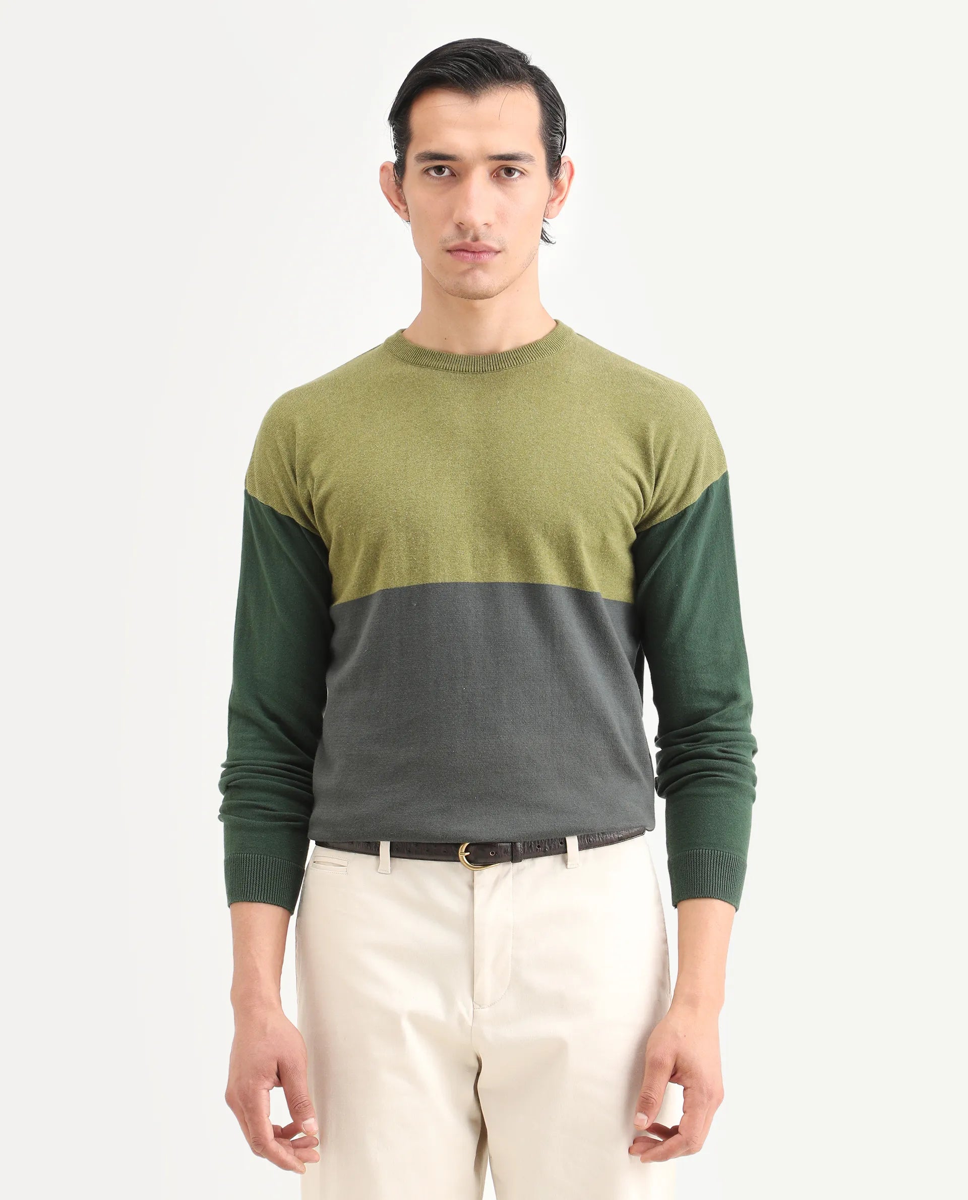 Rare Rabbit Men's Tanko Green Cotton Ombre Relaxed Fit Full Sleeve Crew Neck Sweater