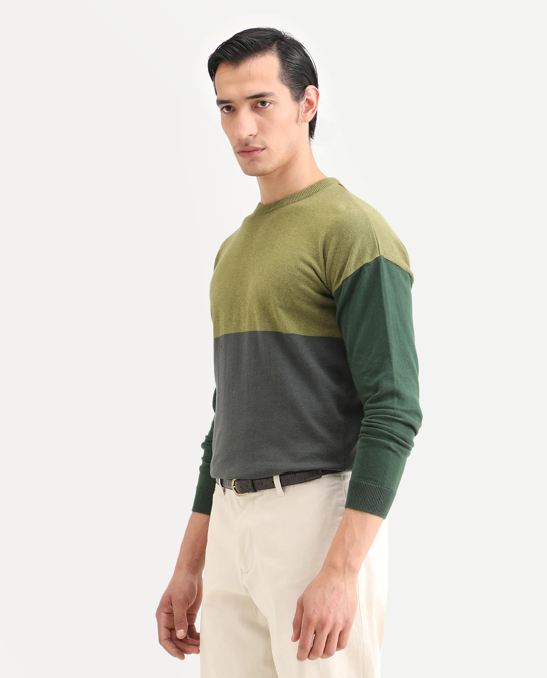 Rare Rabbit Men's Tanko Green Cotton Ombre Relaxed Fit Full Sleeve Crew Neck Sweater