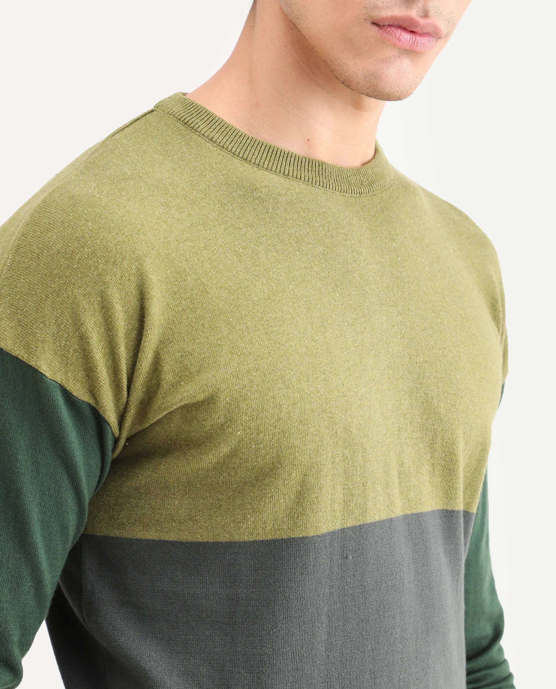 Rare Rabbit Men's Tanko Green Cotton Ombre Relaxed Fit Full Sleeve Crew Neck Sweater