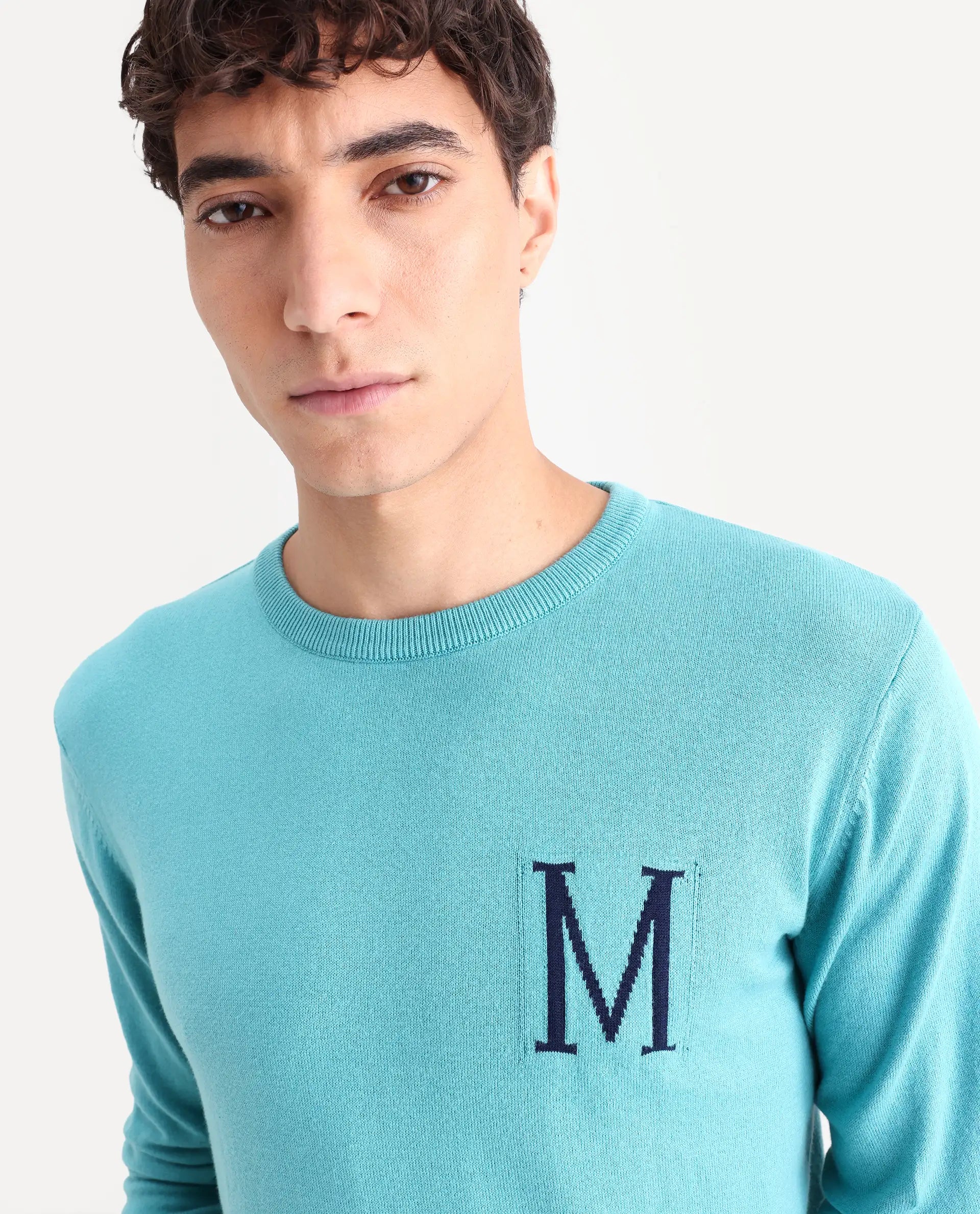 Rare Rabbit Men's Alba Blue Cotton Jacquard Regular Fit Full Sleeve Crew Neck Sweater