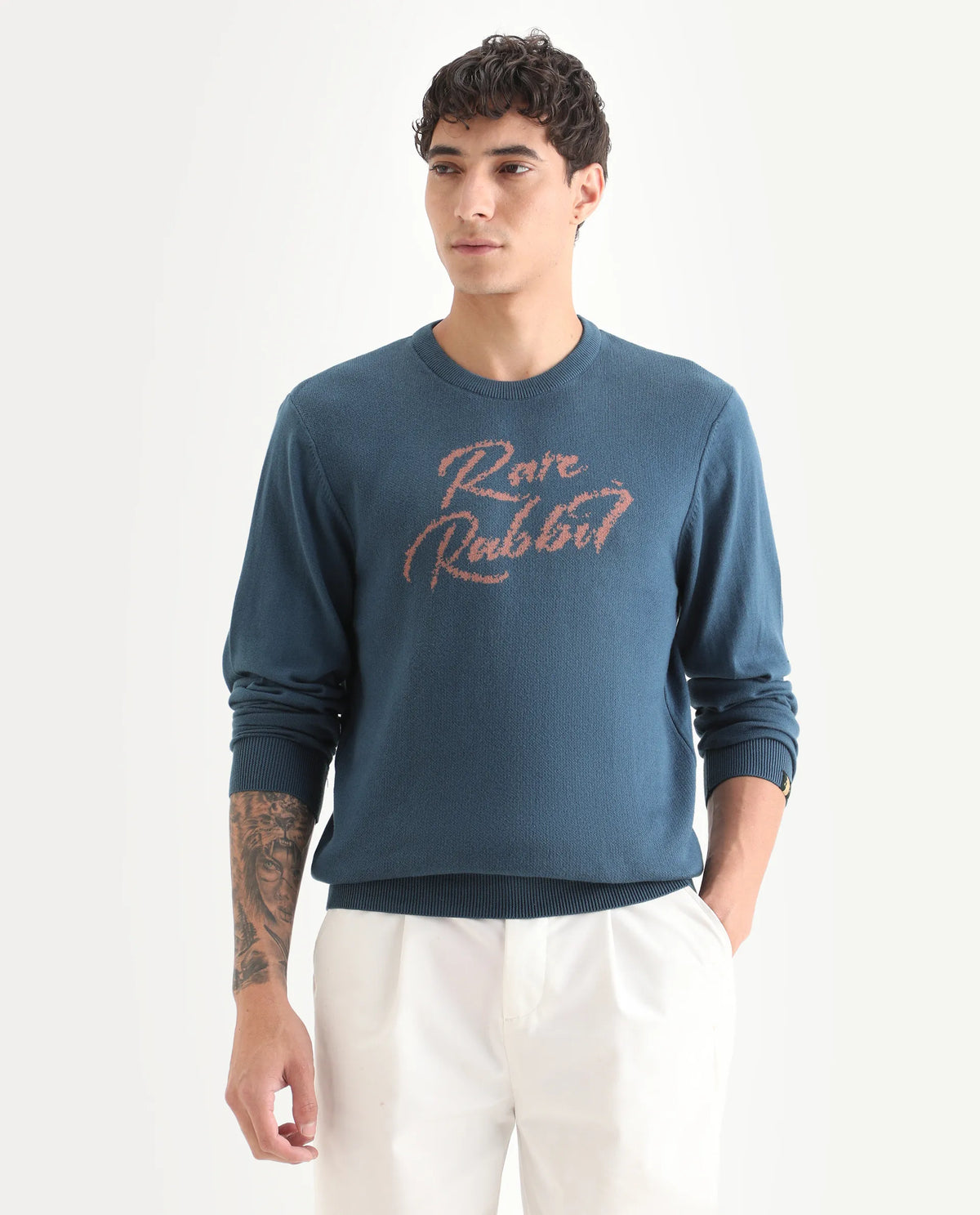 Rare Rabbit Men's Teedo Navy Jacquard Slim Fit Full Sleeve Crew Neck Sweater