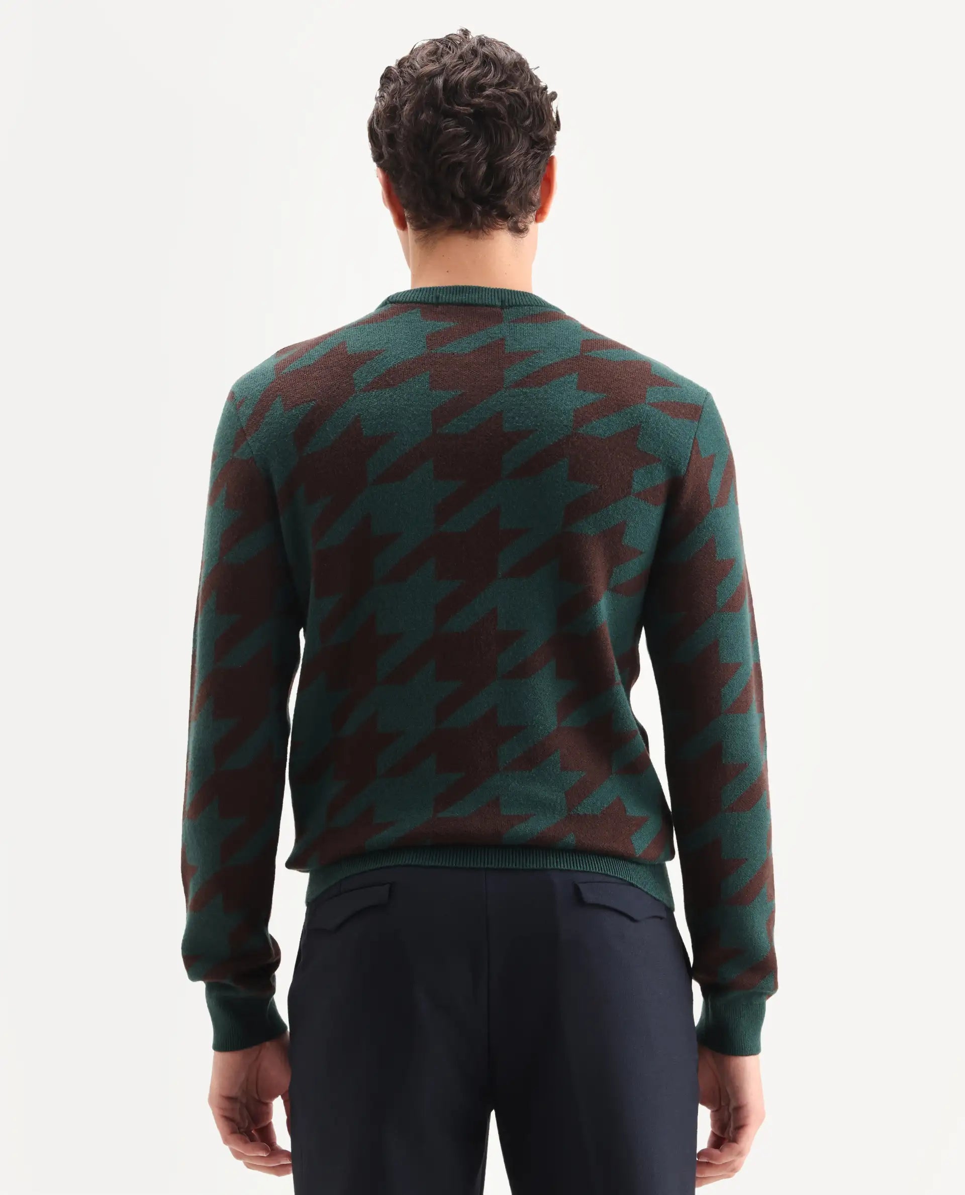 Rare Rabbit Men's Honder Dark Green Viscose Jacquard Relaxed Fit Full Sleeve Crew Neck Sweater