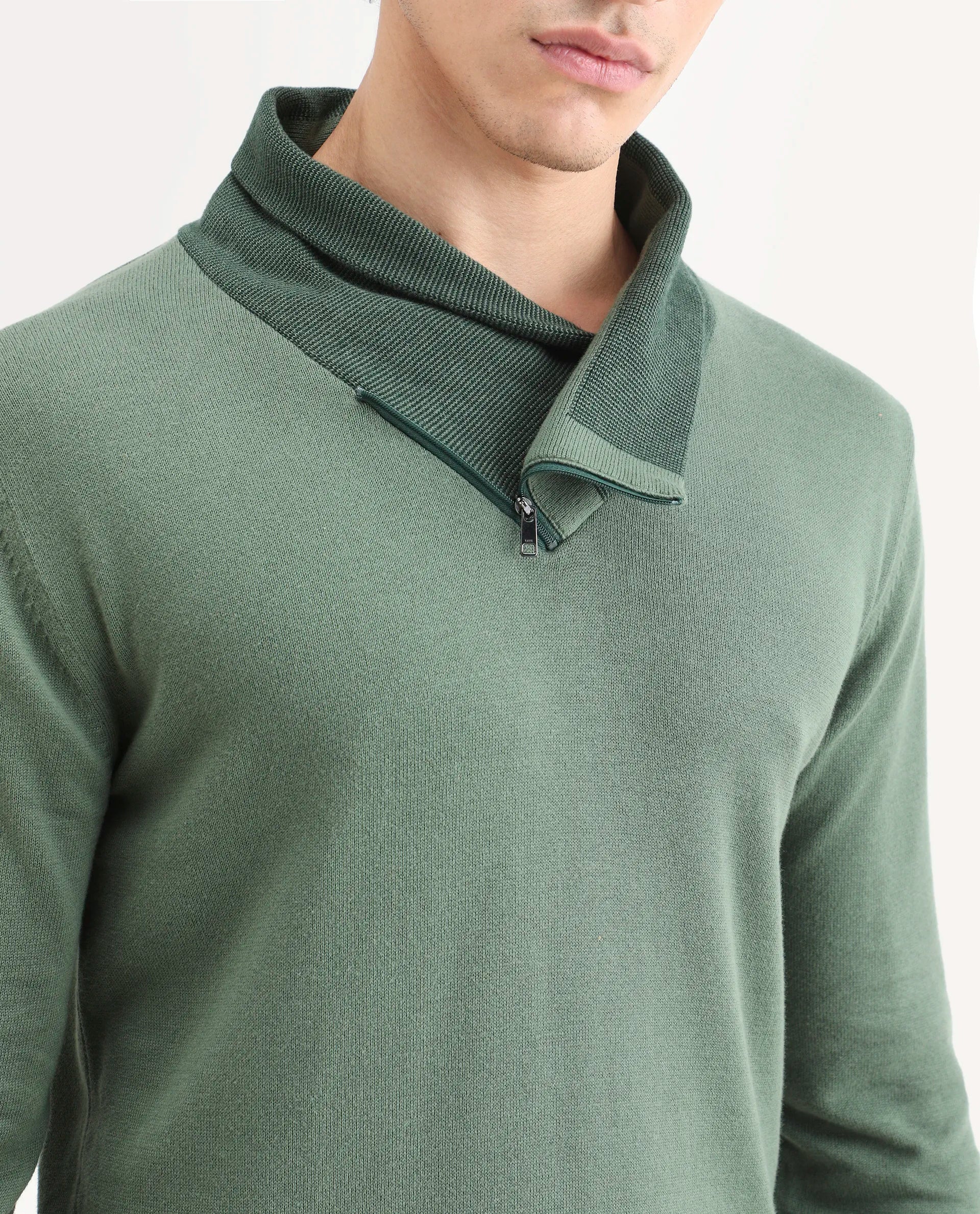 Rare Rabbit Men's Denver Dark Green Cotton Plain Regular Fit Full Sleeve Shawl Neck Sweater