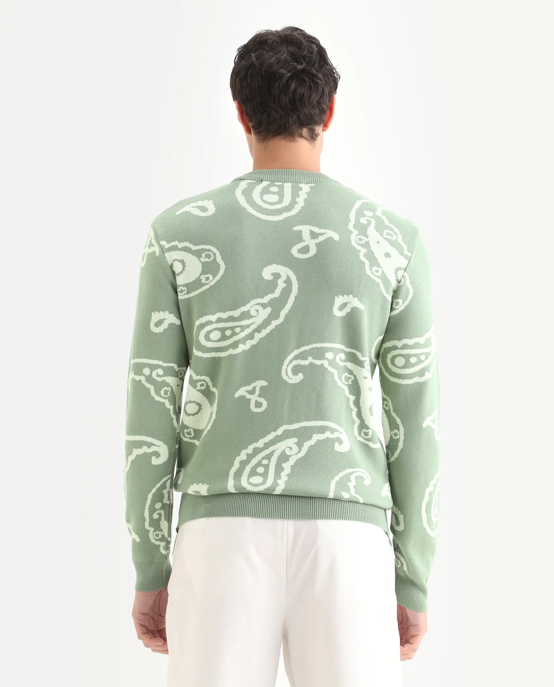 Rare Rabbit Men's Tori Light Green Viscose Jacquard Relaxed Fit Full Sleeve Crew Neck Sweater