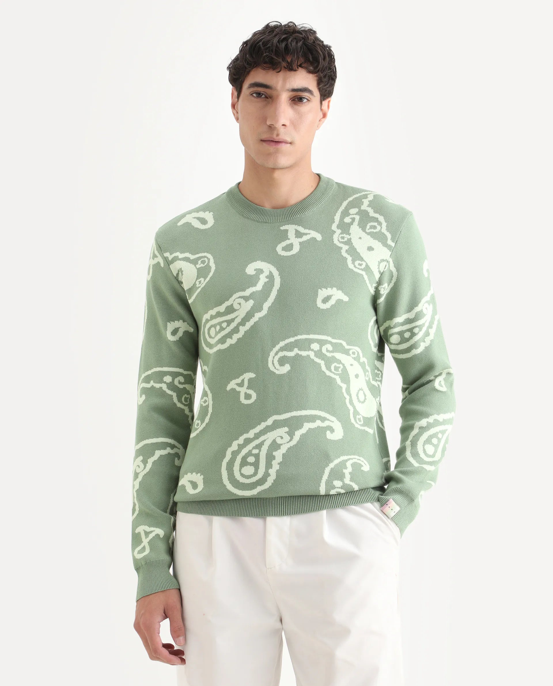 Rare Rabbit Men's Tori Light Green Viscose Jacquard Relaxed Fit Full Sleeve Crew Neck Sweater
