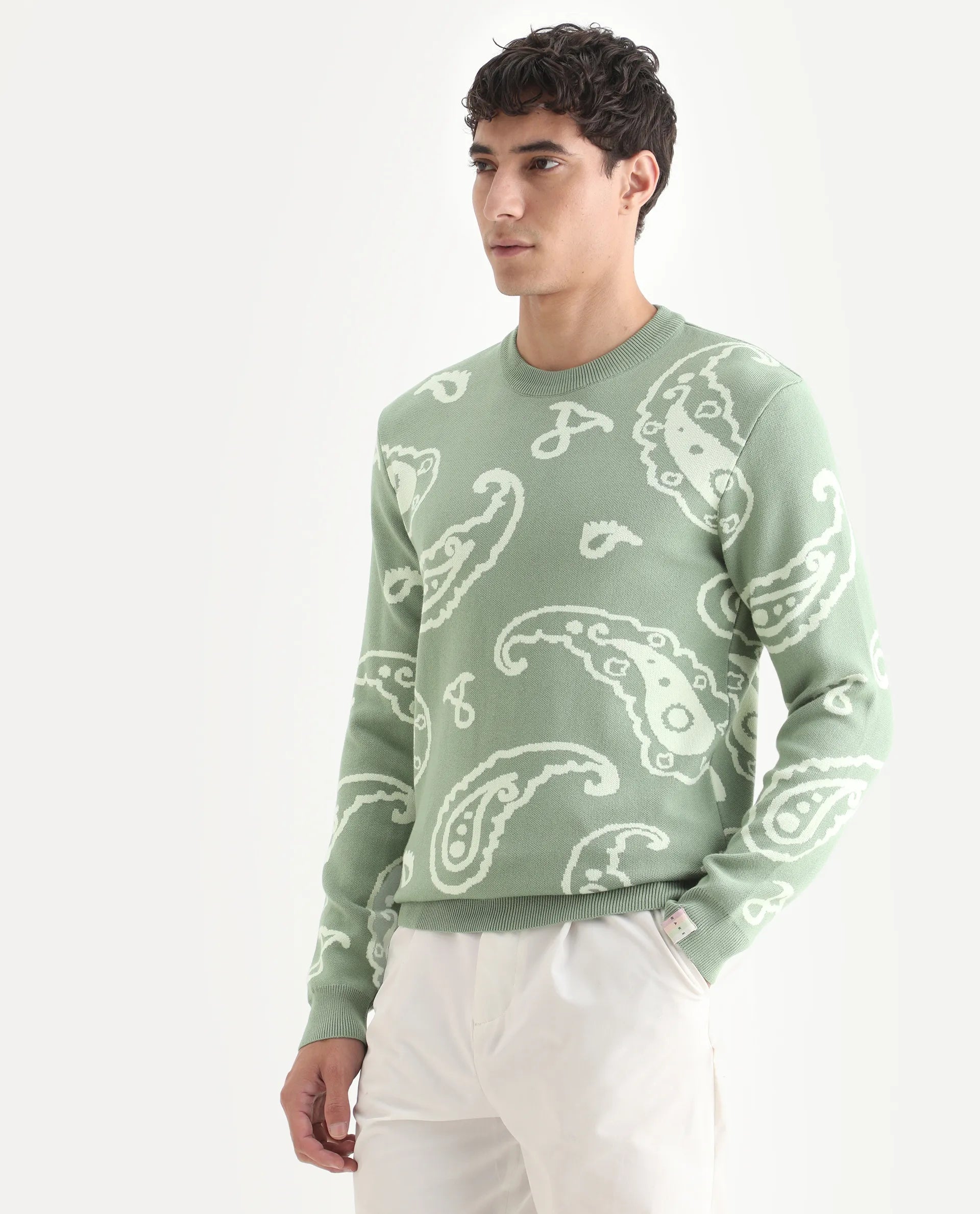 Rare Rabbit Men's Tori Light Green Viscose Jacquard Relaxed Fit Full Sleeve Crew Neck Sweater
