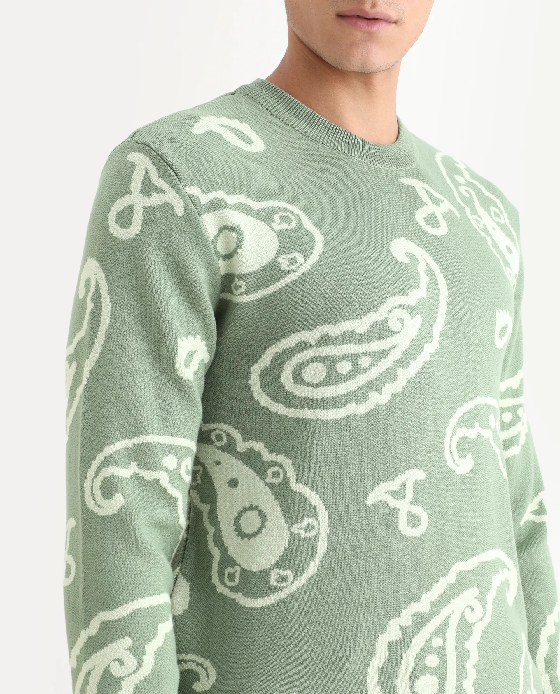 Rare Rabbit Men's Tori Light Green Viscose Jacquard Relaxed Fit Full Sleeve Crew Neck Sweater
