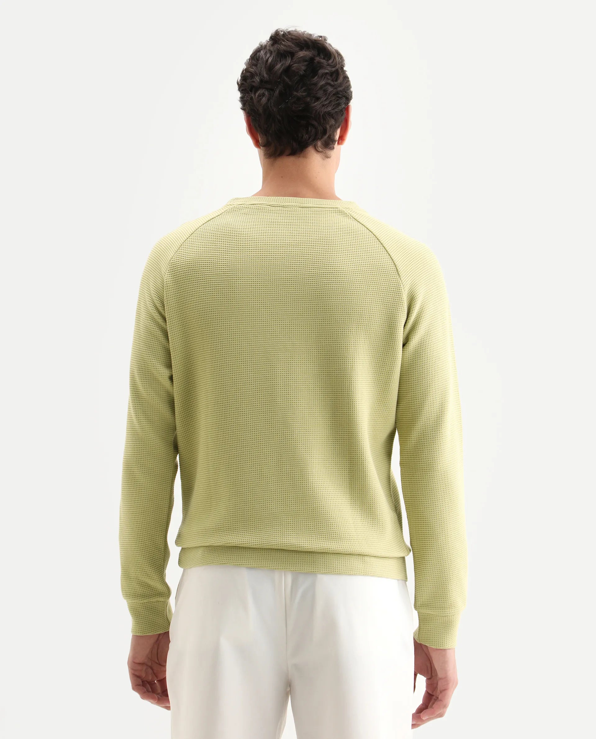 Rare Rabbit Men's Sven Pastel Green Cotton Plain Regular Fit Full Sleeve Crew Neck Sweatshirt
