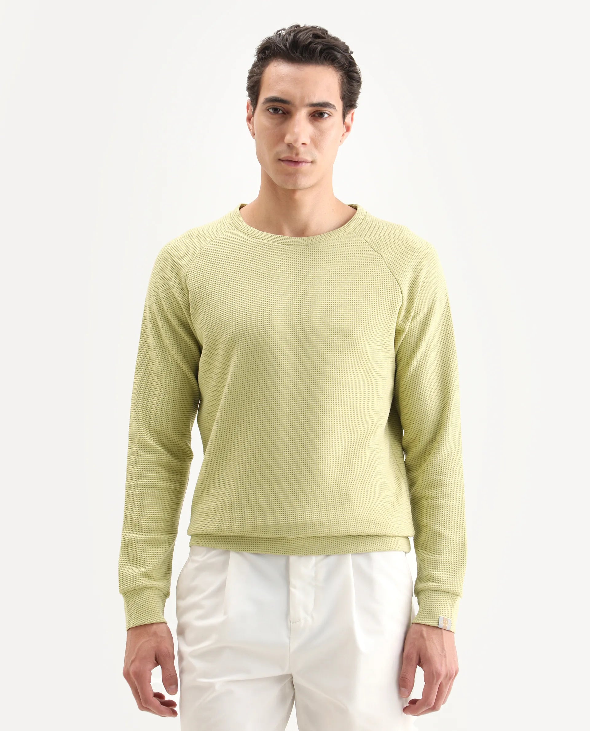 Rare Rabbit Men's Sven Pastel Green Cotton Plain Regular Fit Full Sleeve Crew Neck Sweatshirt