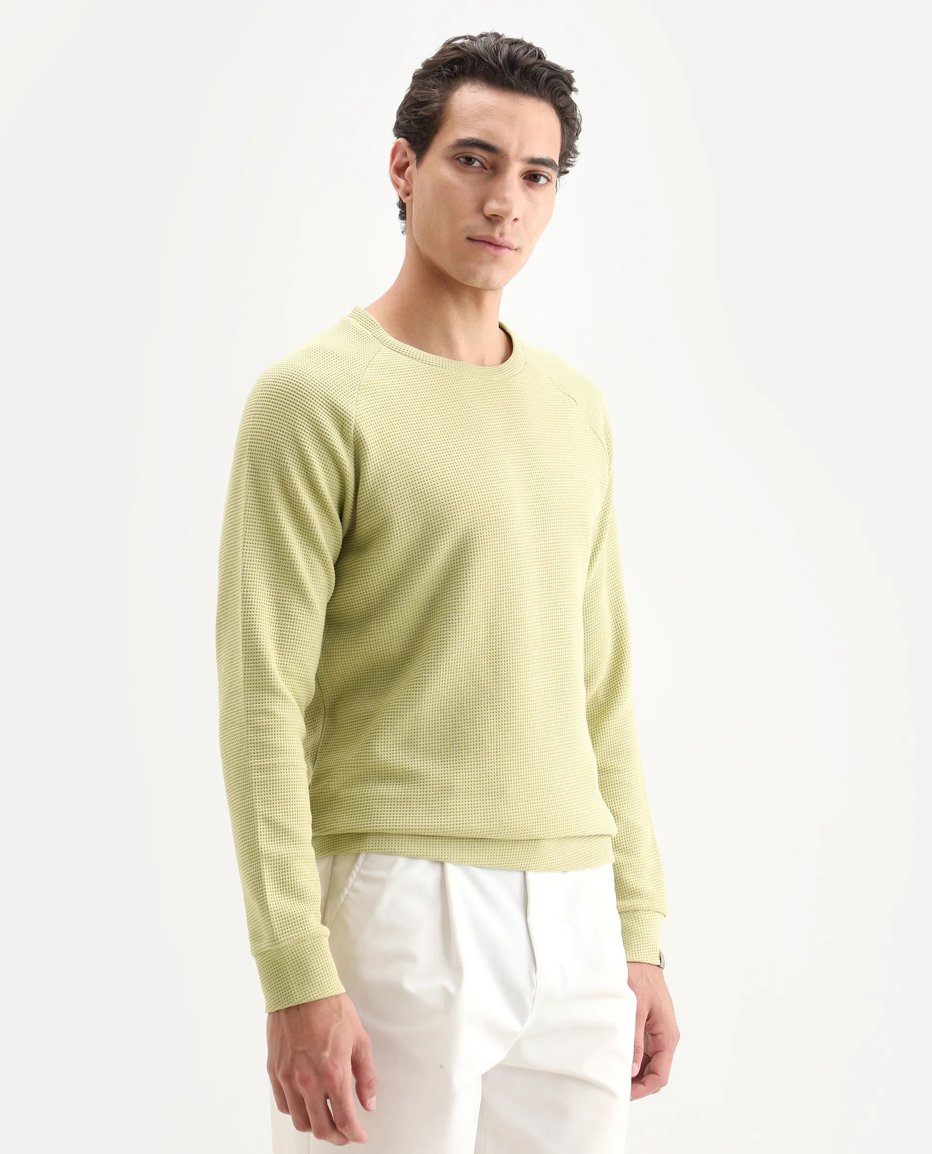 Rare Rabbit Men's Sven Pastel Green Cotton Plain Regular Fit Full Sleeve Crew Neck Sweatshirt
