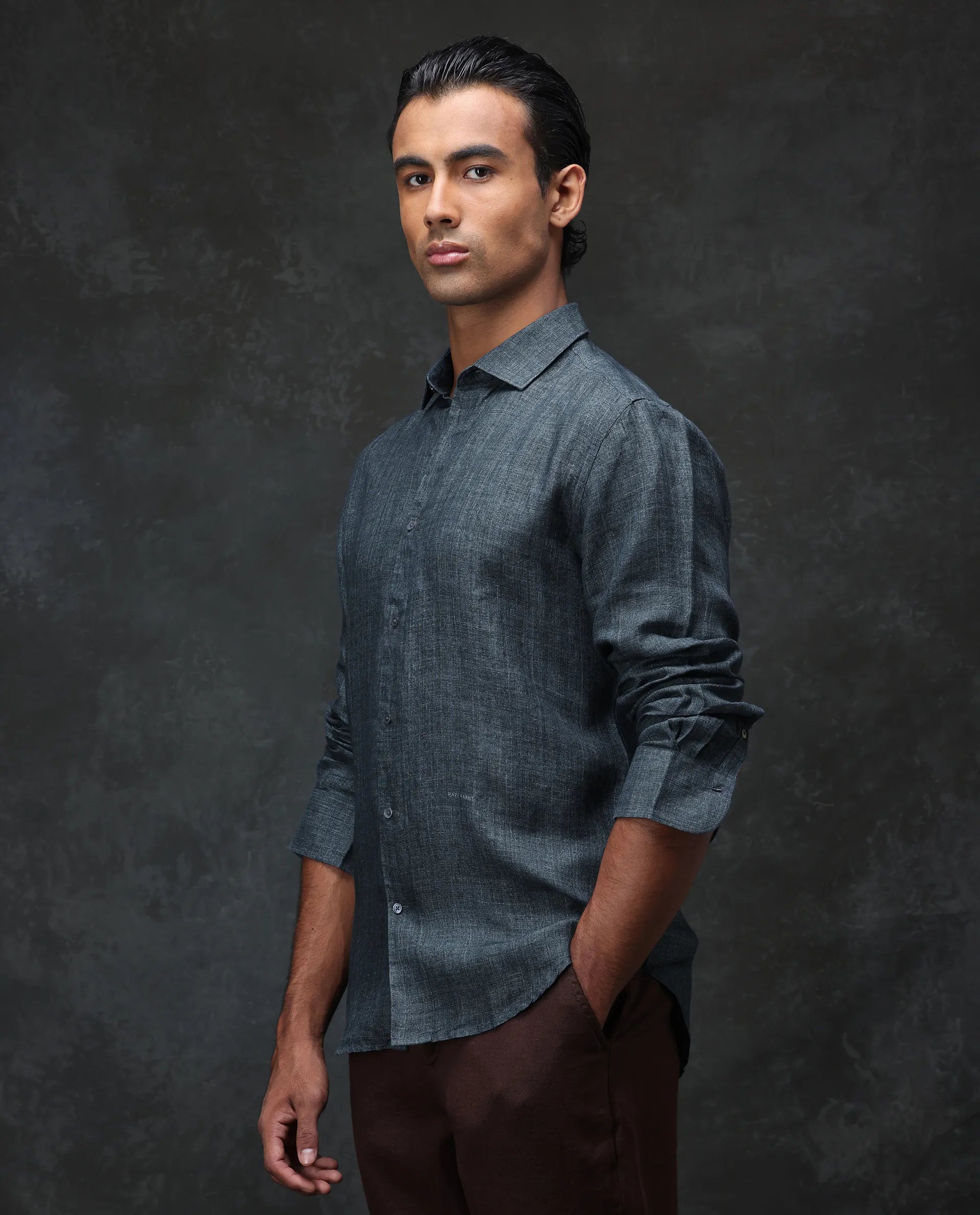 Rare Rabbit Men's Borium Green 100% Linen Plain Regular Fit Full Sleeve Collared Shirt