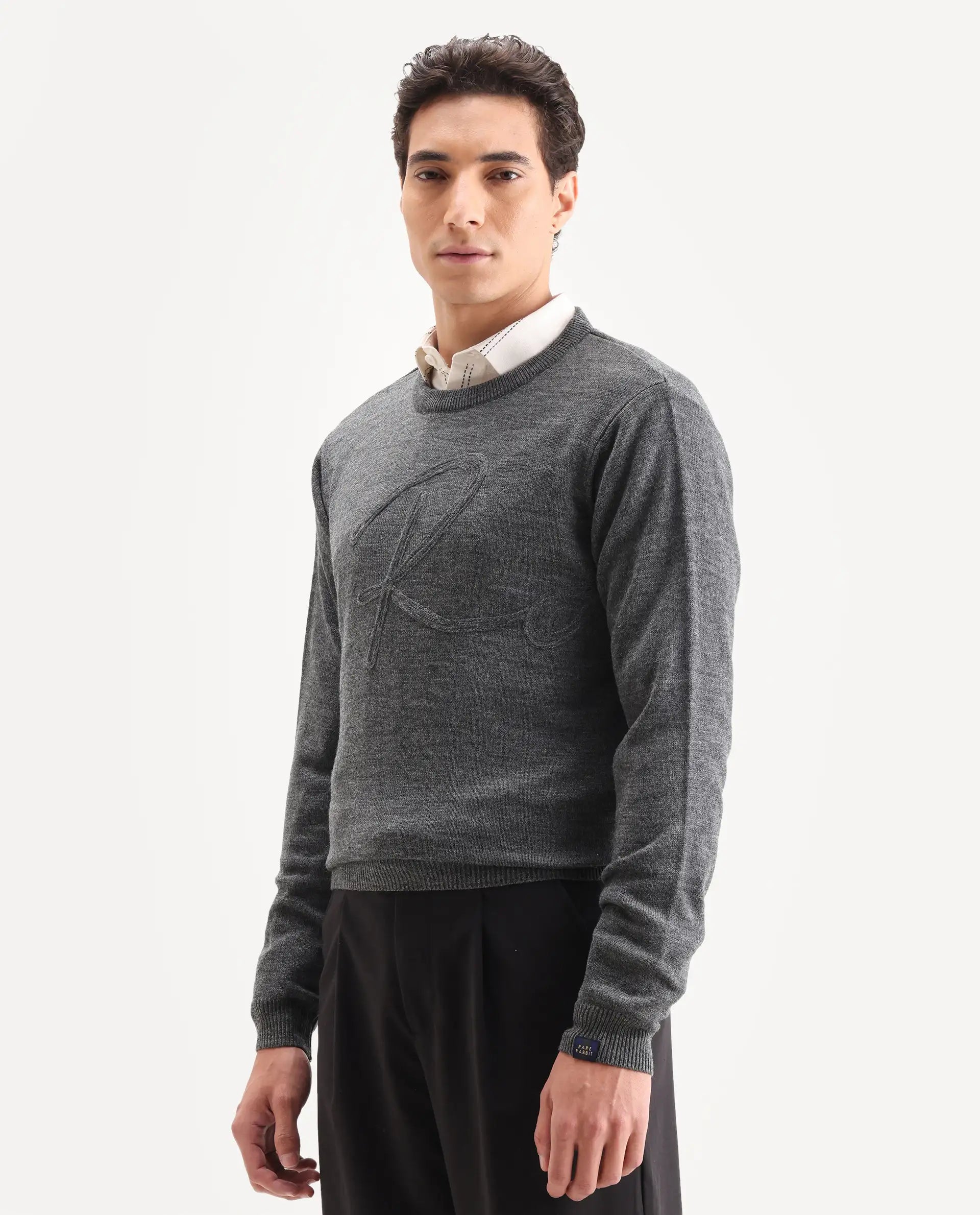 Rare Rabbit Men's Saturno Dusky Grey Acrylic Embroidered Regular Fit Full Sleeve Crew Neck Sweater