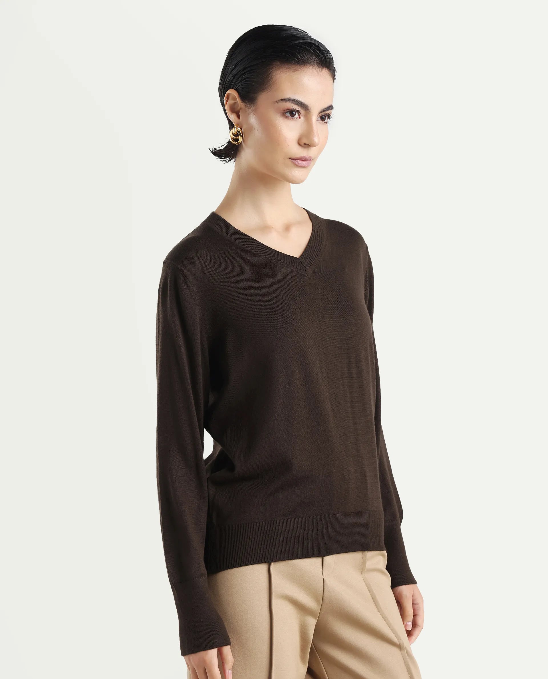 Rareism Women's Usak Brown Acrylic V-Neck Plain Regular Fitted Sweater