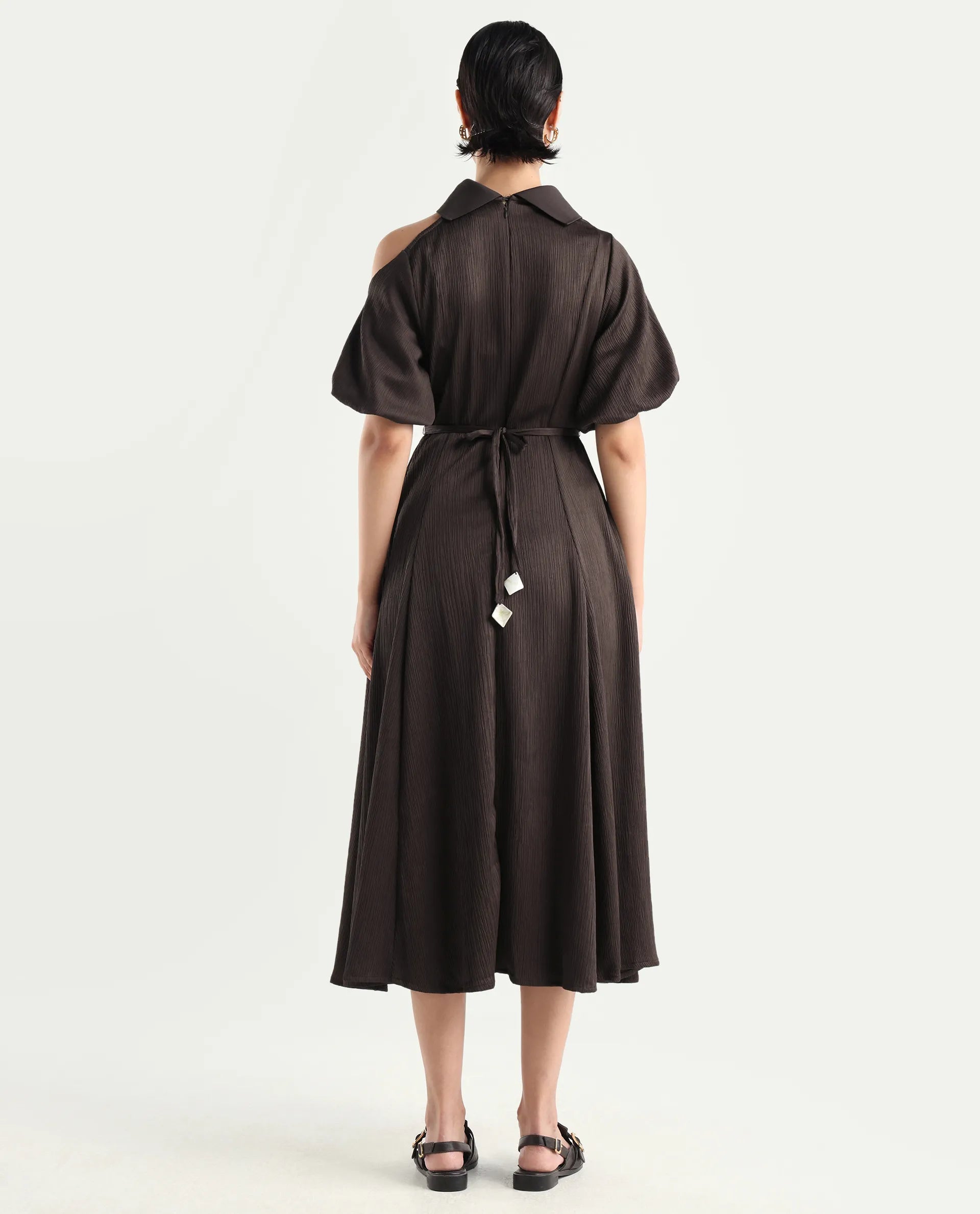 Rareism Women's Duchy Brown Polyester Turtle Neck Plain Balloon Sleeve Midi Flared Dress