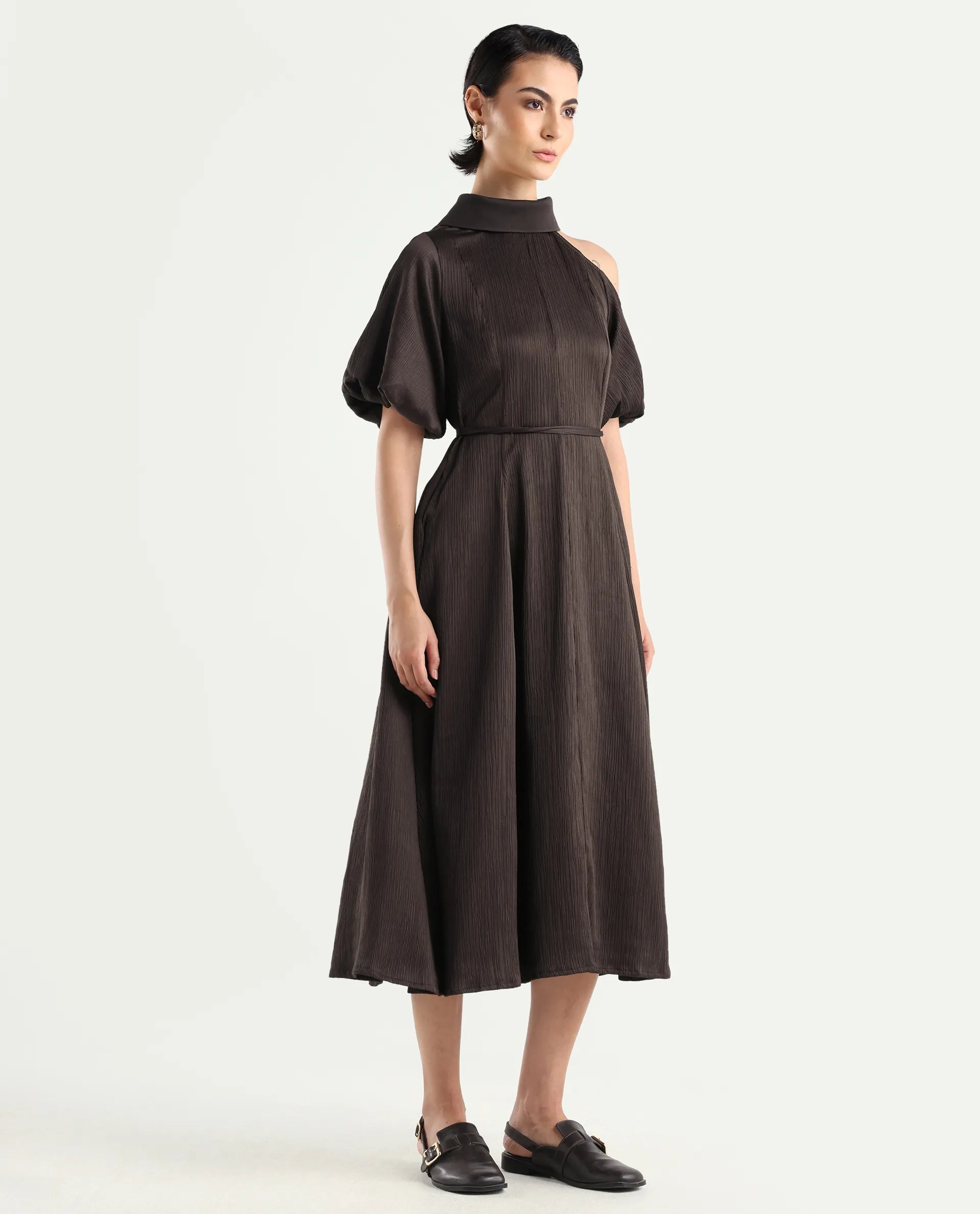 Rareism Women's Duchy Brown Polyester Turtle Neck Plain Balloon Sleeve Midi Flared Dress