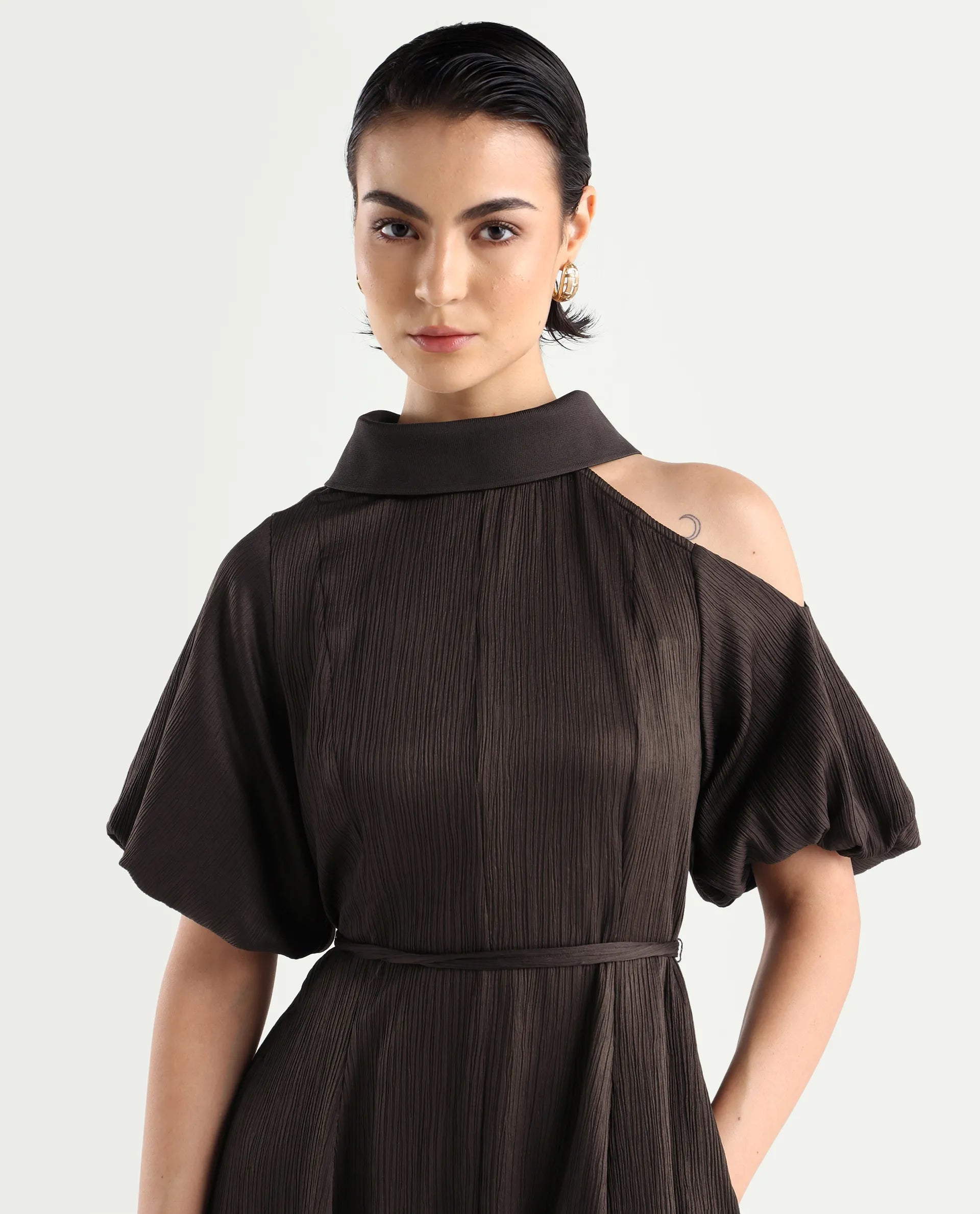 Rareism Women's Duchy Brown Polyester Turtle Neck Plain Balloon Sleeve Midi Flared Dress