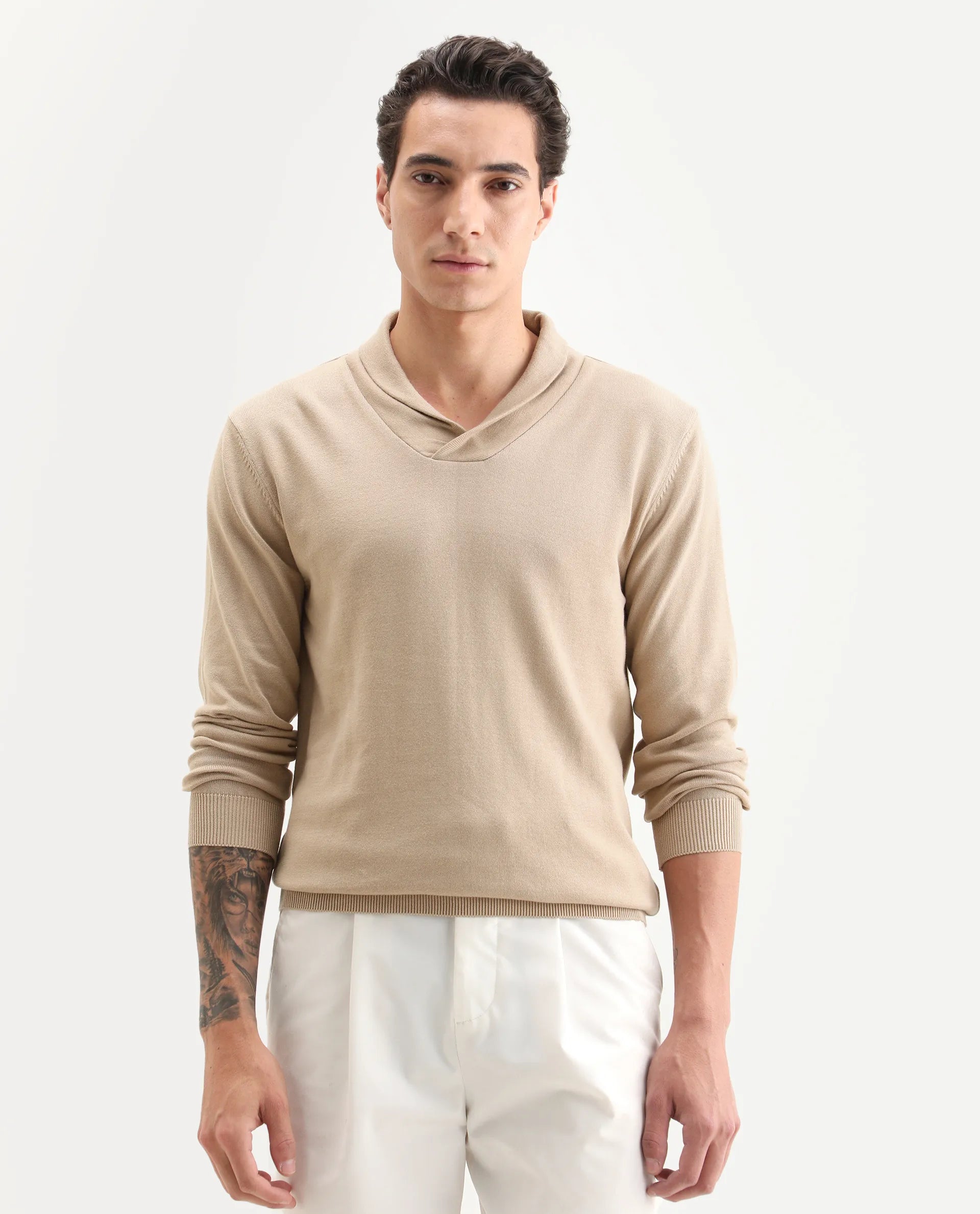 Rare Rabbit Men's Kenlay Beige Cotton Blend Plain Regular Fit Full Sleeve High Neck Sweater