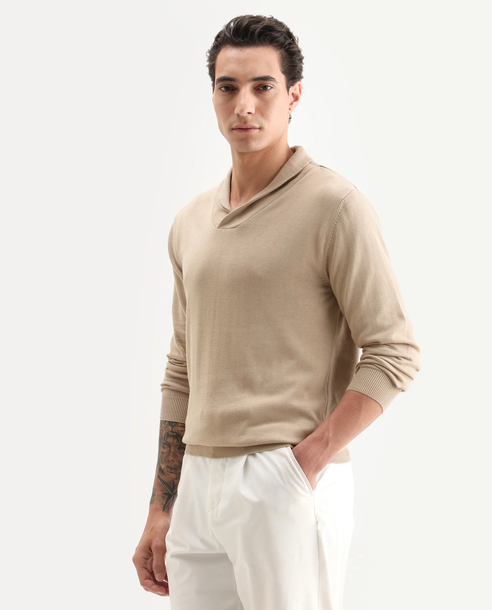 Rare Rabbit Men's Kenlay Beige Cotton Blend Plain Regular Fit Full Sleeve High Neck Sweater