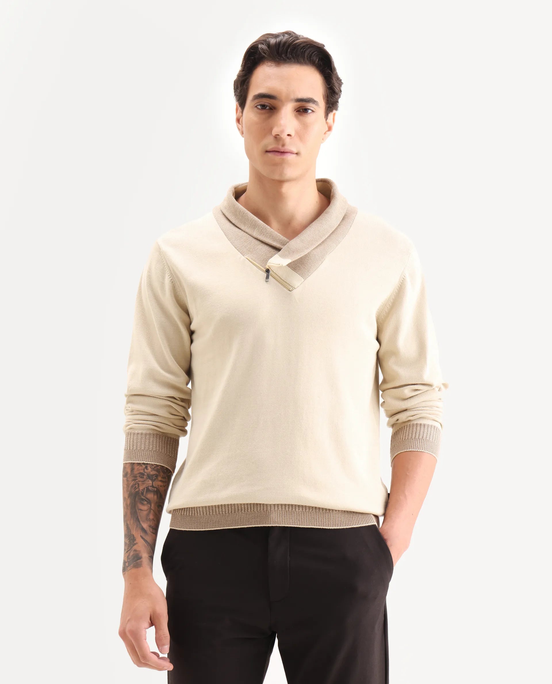 Rare Rabbit Men's Lyzo Beige Cotton Plain Regular Fit Full Sleeve Cowl Neck Sweater