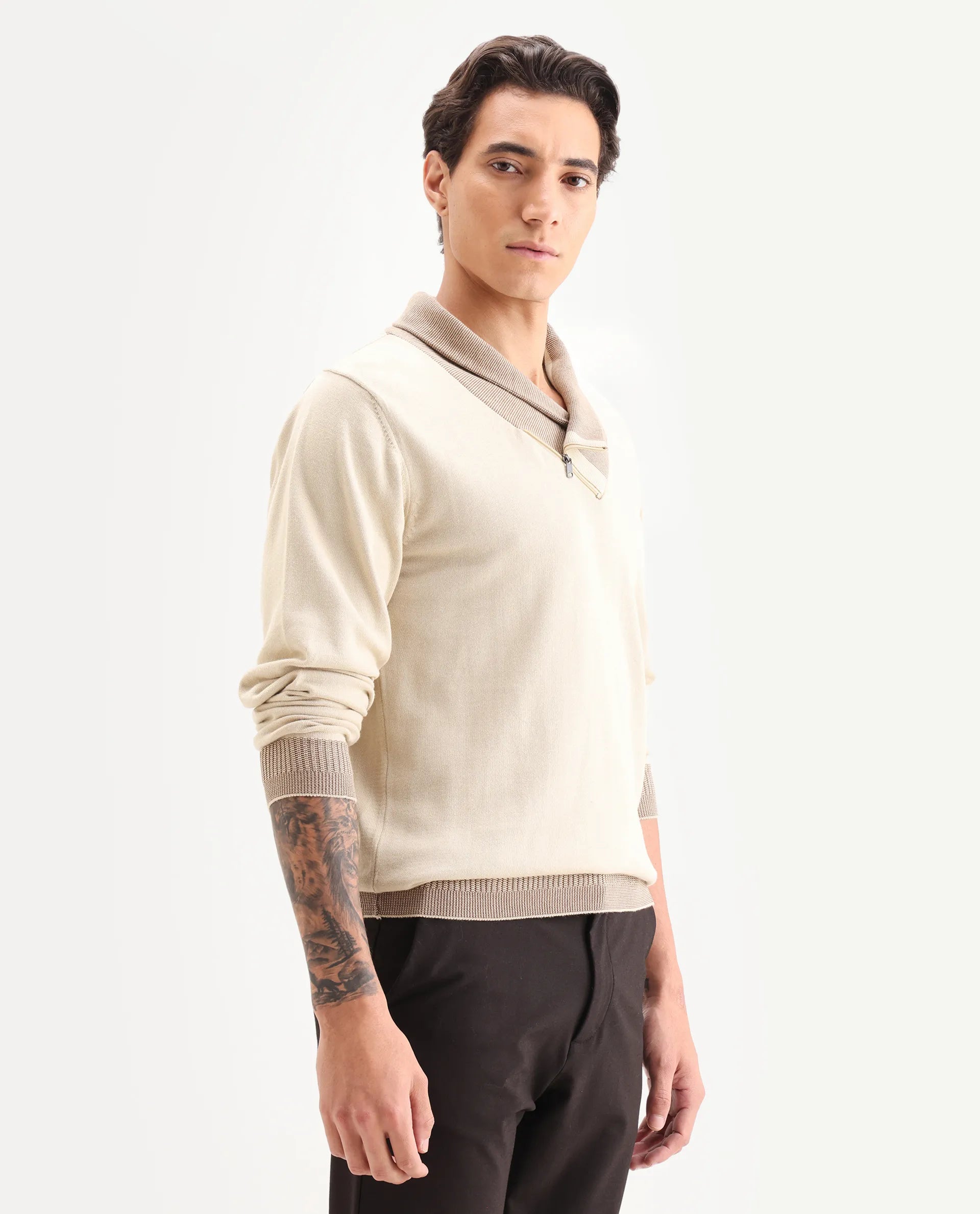 Rare Rabbit Men's Lyzo Beige Cotton Plain Regular Fit Full Sleeve Cowl Neck Sweater