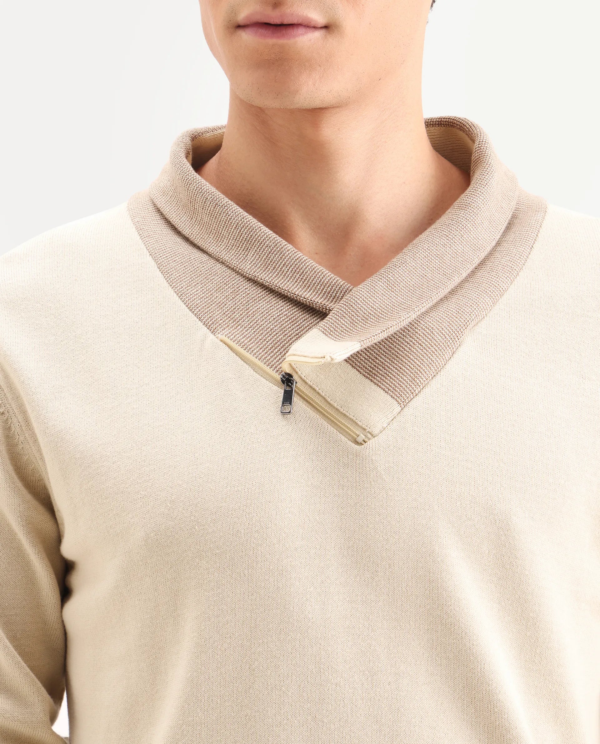 Rare Rabbit Men's Lyzo Beige Cotton Plain Regular Fit Full Sleeve Cowl Neck Sweater