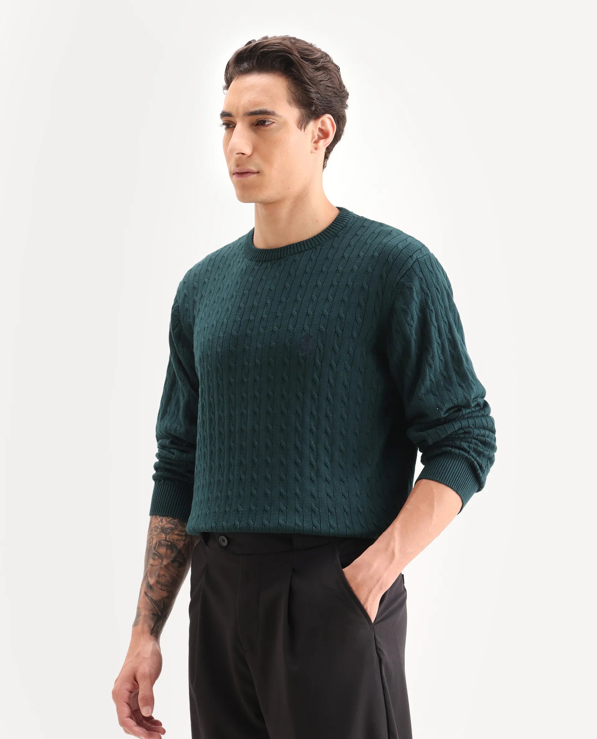 Rare Rabbit Men's Prota Dark Green Cotton Plain Regular Fit Full Sleeve Crew Neck Sweater