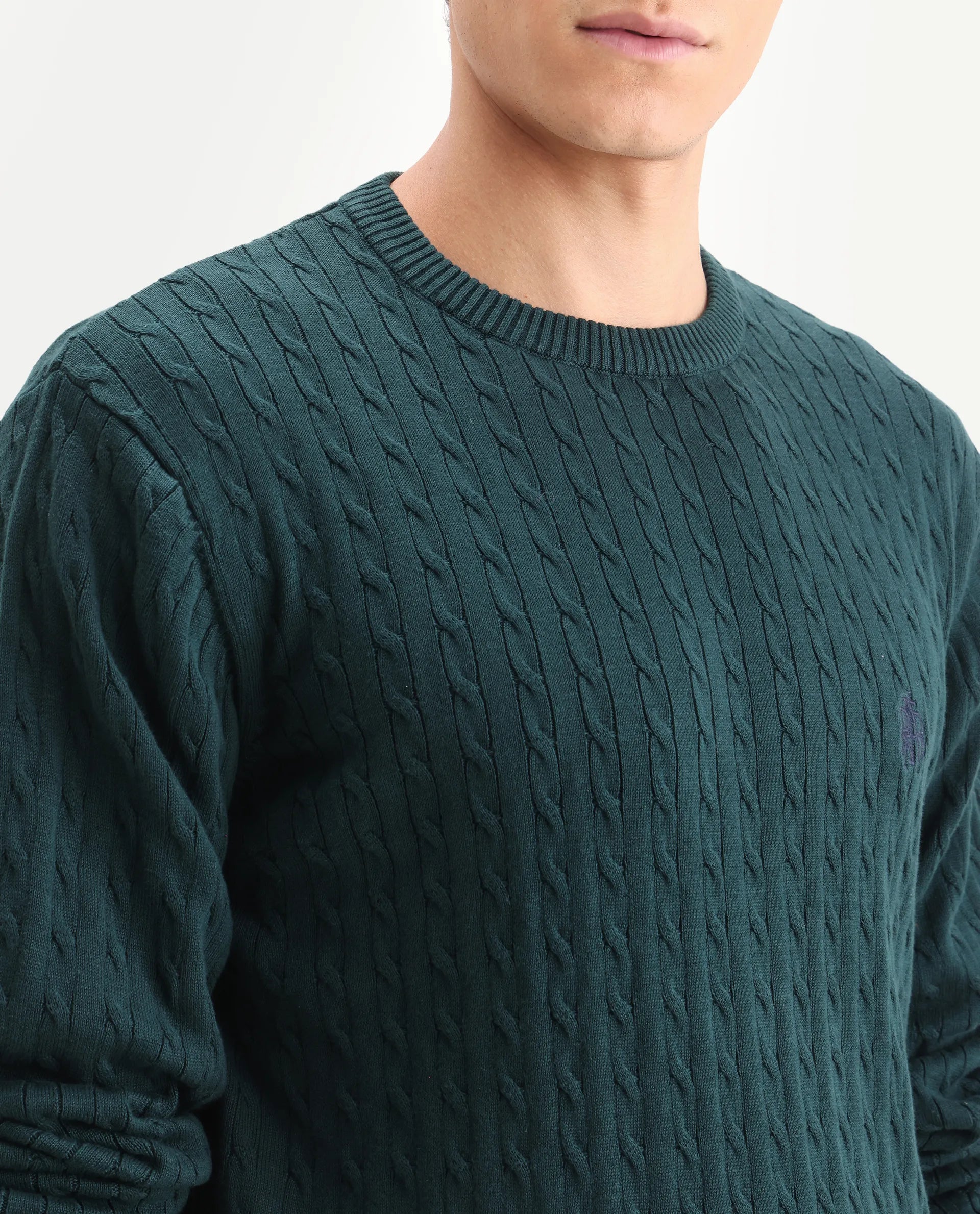 Rare Rabbit Men's Prota Dark Green Cotton Plain Regular Fit Full Sleeve Crew Neck Sweater