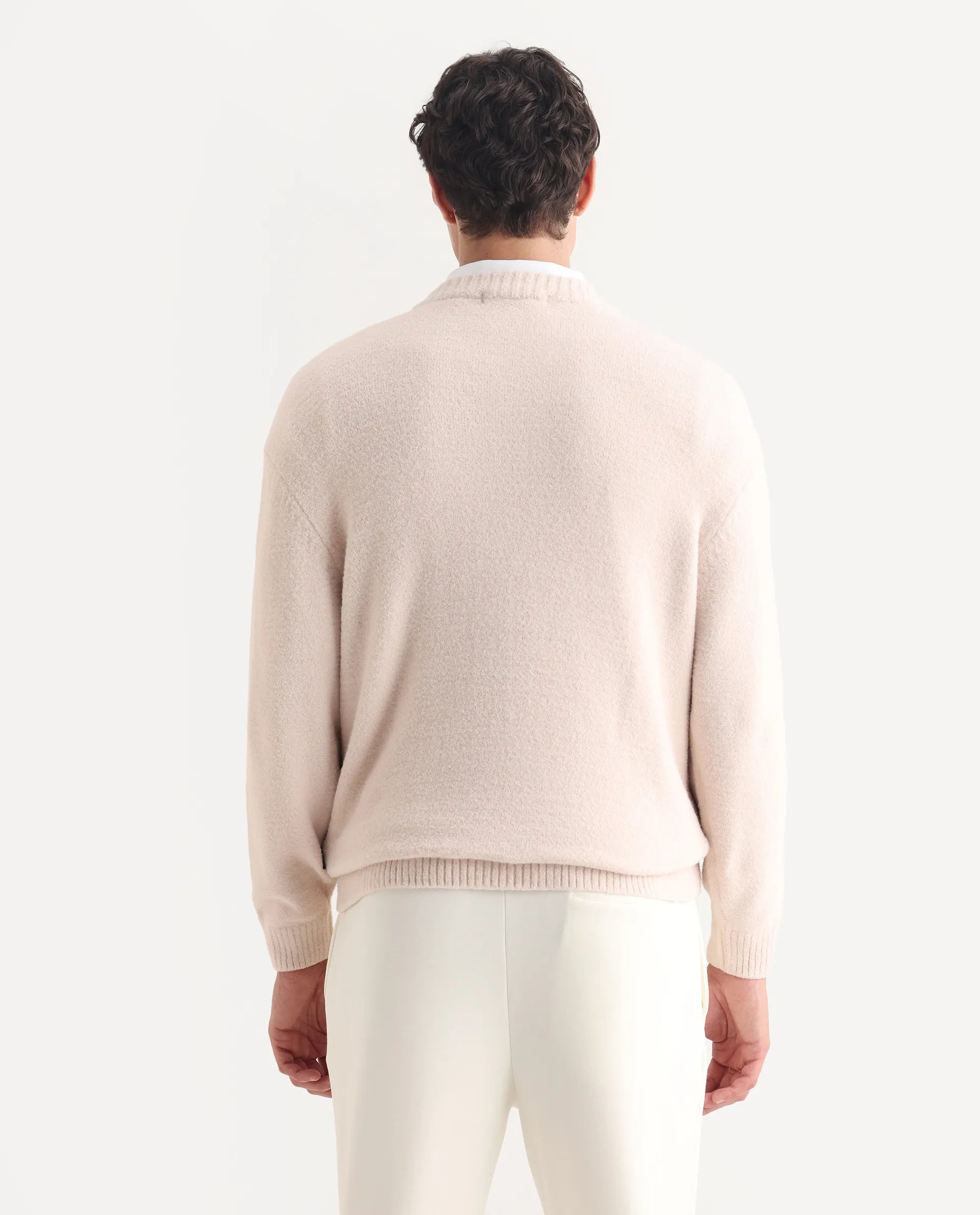 Rare Rabbit Men's Zeo-1 Beige Nylon Plain Regular Fit Full Sleeve Crew Neck Sweater