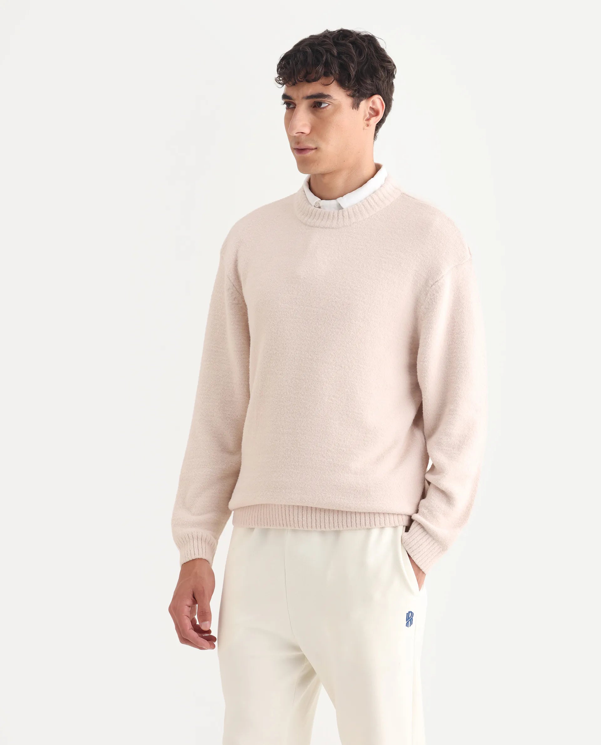 Rare Rabbit Men's Zeo-1 Beige Nylon Plain Regular Fit Full Sleeve Crew Neck Sweater