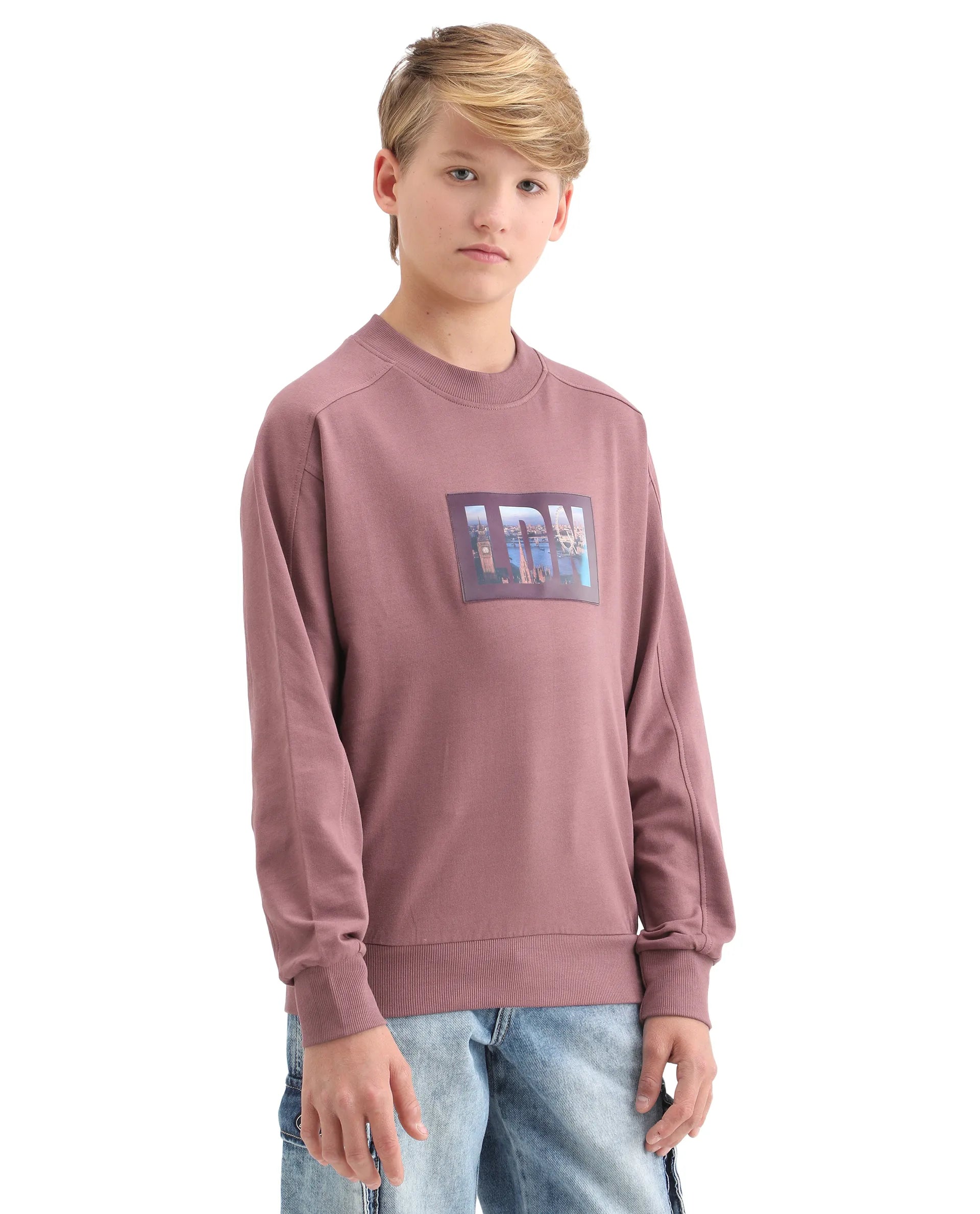 Rare Ones Kids Zayn Dusky Pink Cotton Pull On Crew Neck Full Sleeves Fit Sweatshirt