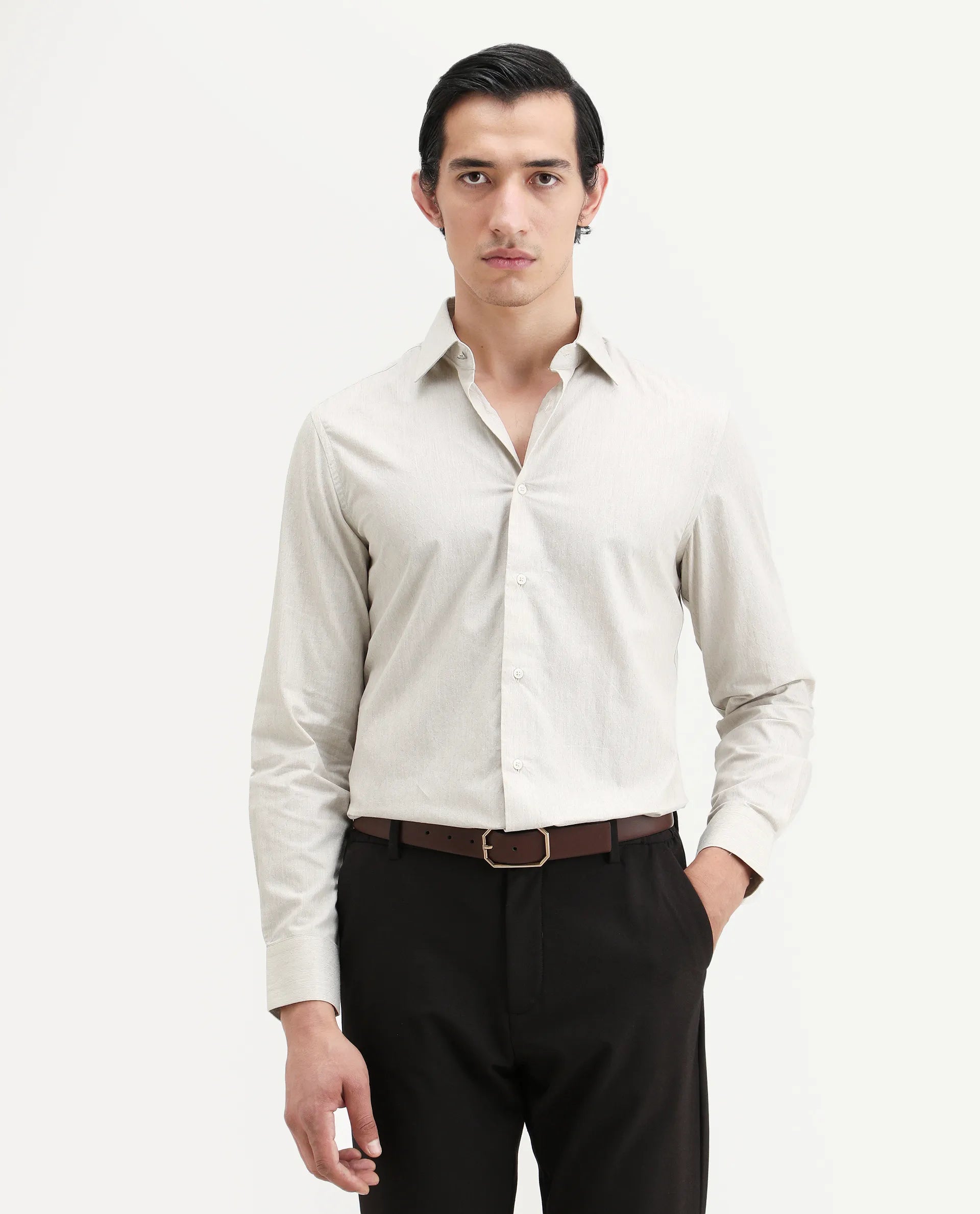 Rare Rabbit Men's Plib Beige Cotton Jacquard Regular Fit Full Sleeve Collared Shirt