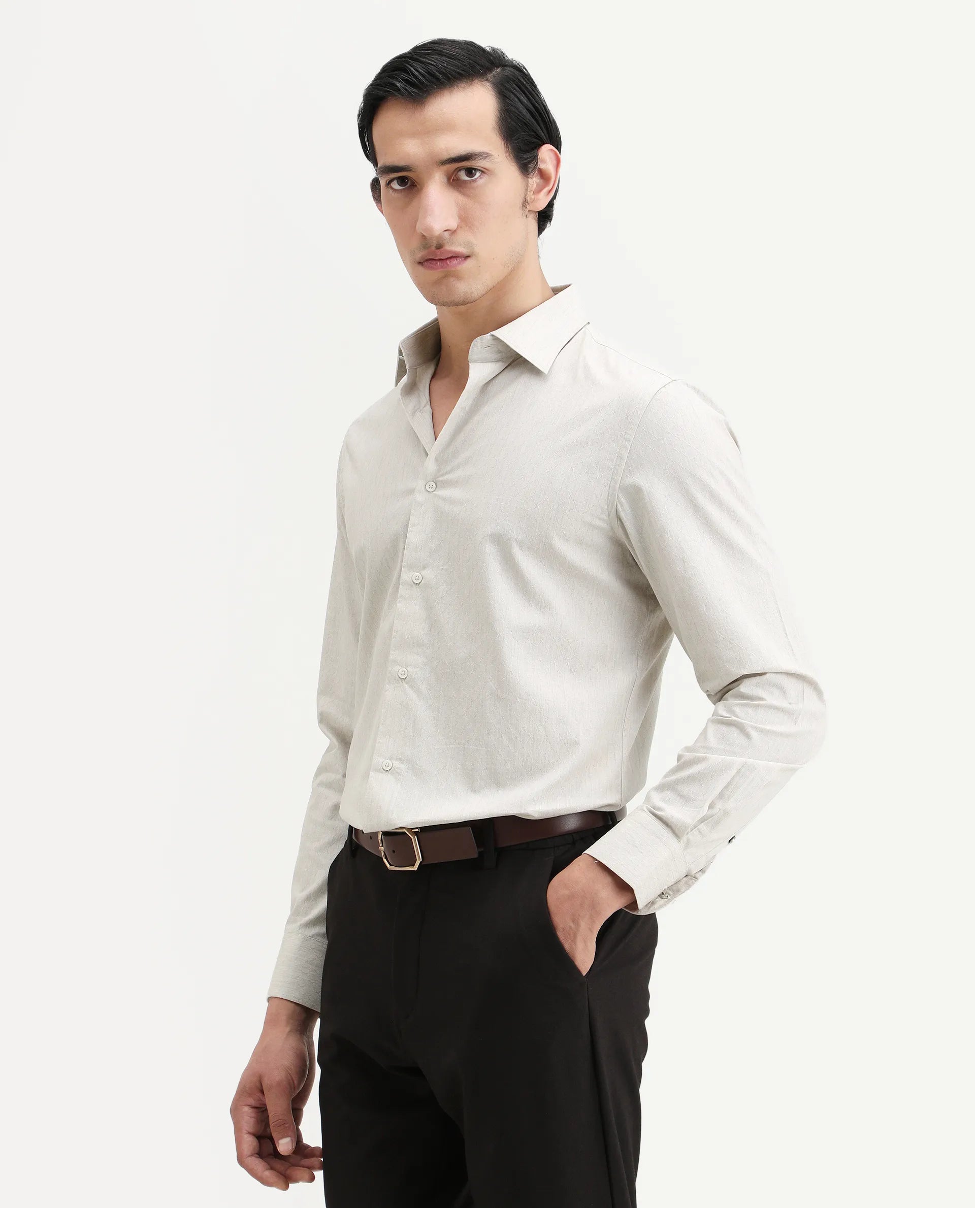 Rare Rabbit Men's Plib Beige Cotton Jacquard Regular Fit Full Sleeve Collared Shirt