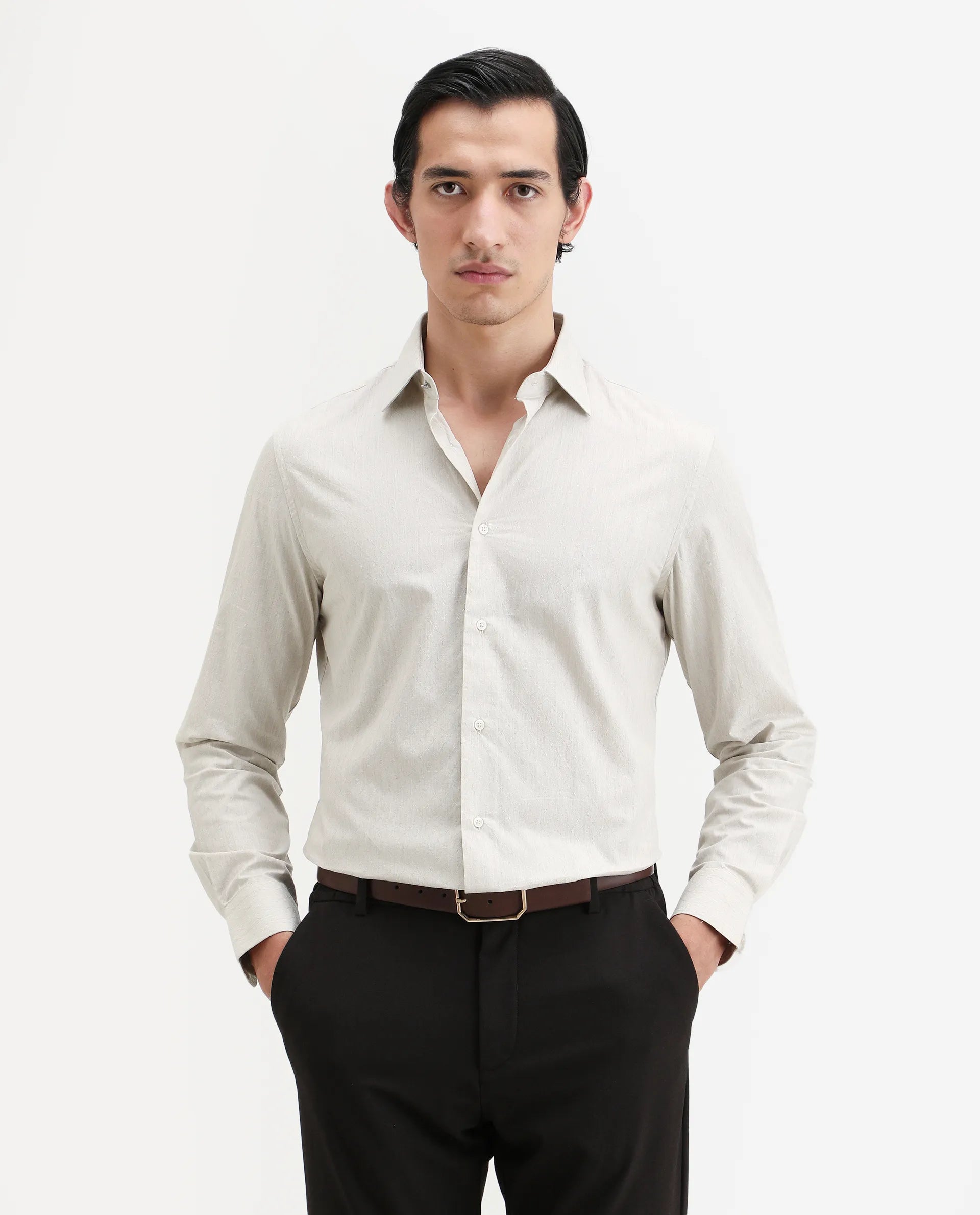 Rare Rabbit Men's Plib Beige Cotton Jacquard Regular Fit Full Sleeve Collared Shirt