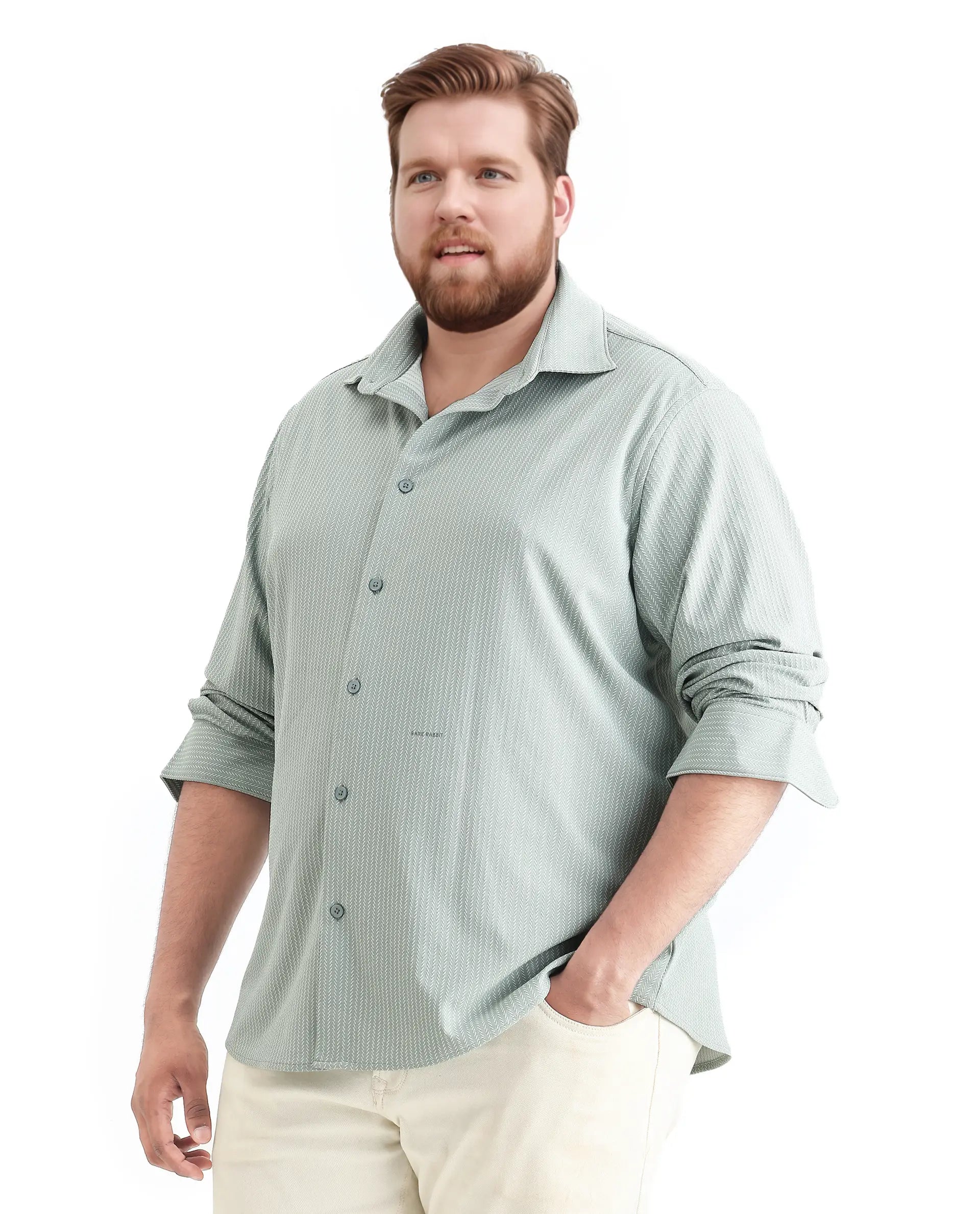 Rare Rabbit Men's Exclop Pastel Green Cotton Fabric Full Sleeves Collared Neck Button Closure Striped Shirt