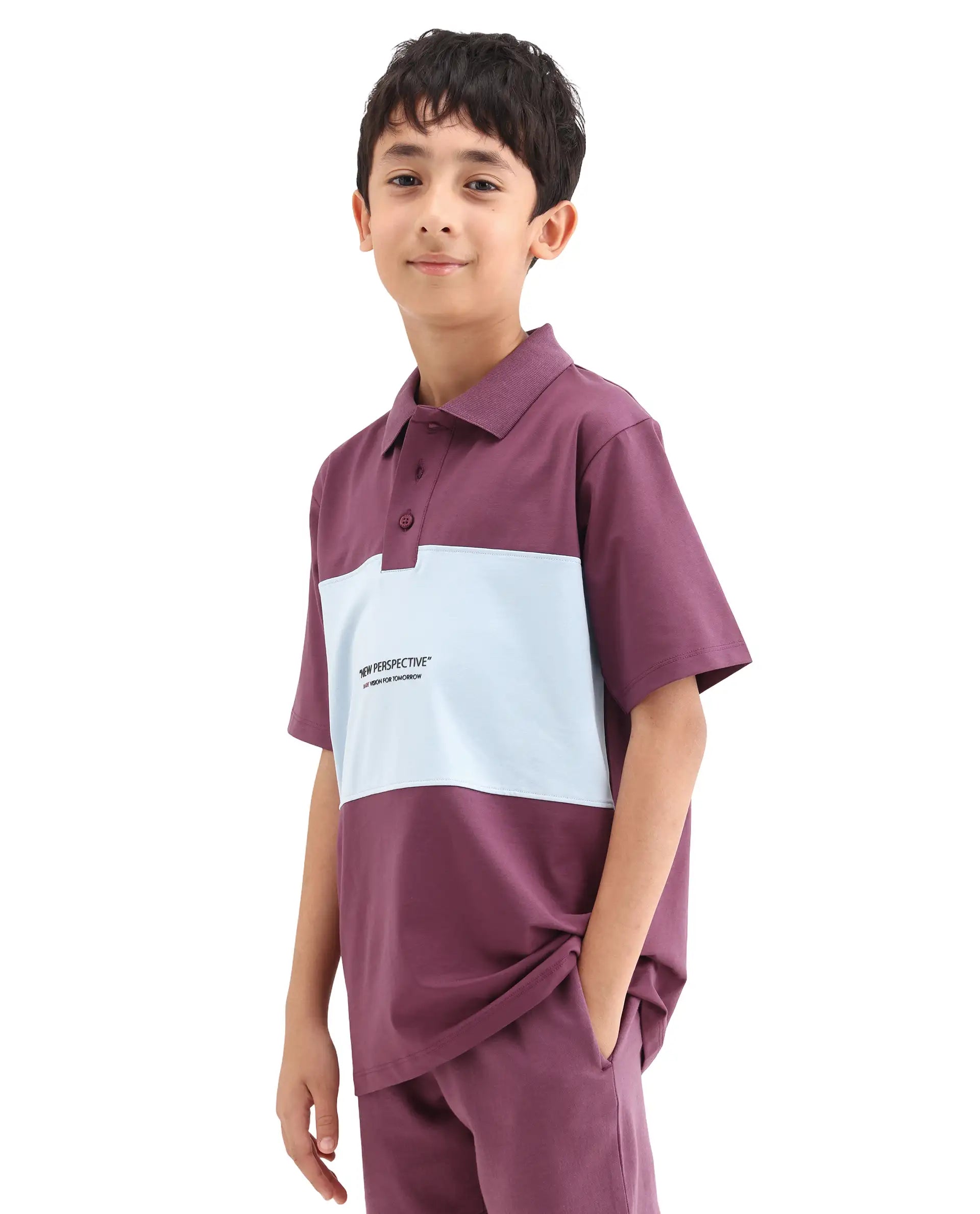 Rare Ones Kids Boxo Dusky Purple Cotton Button Closure Color Block Regular Fit Polo