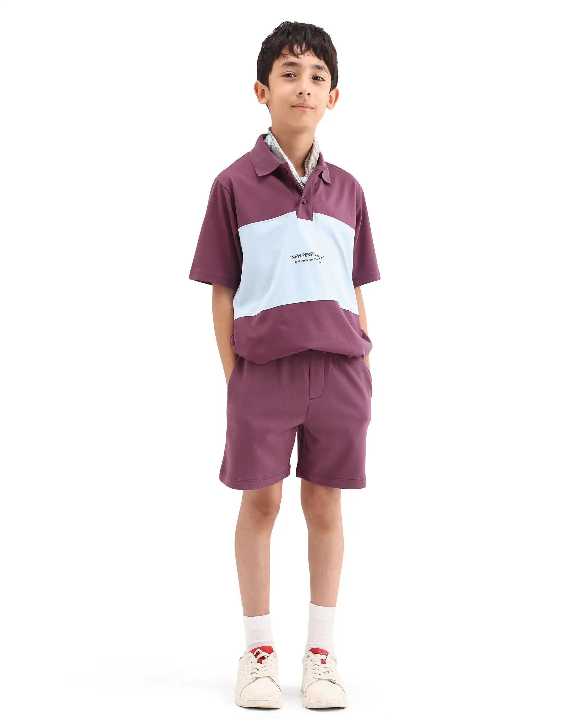 Rare Ones Kids Boxo Dusky Purple Cotton Button Closure Color Block Regular Fit Polo