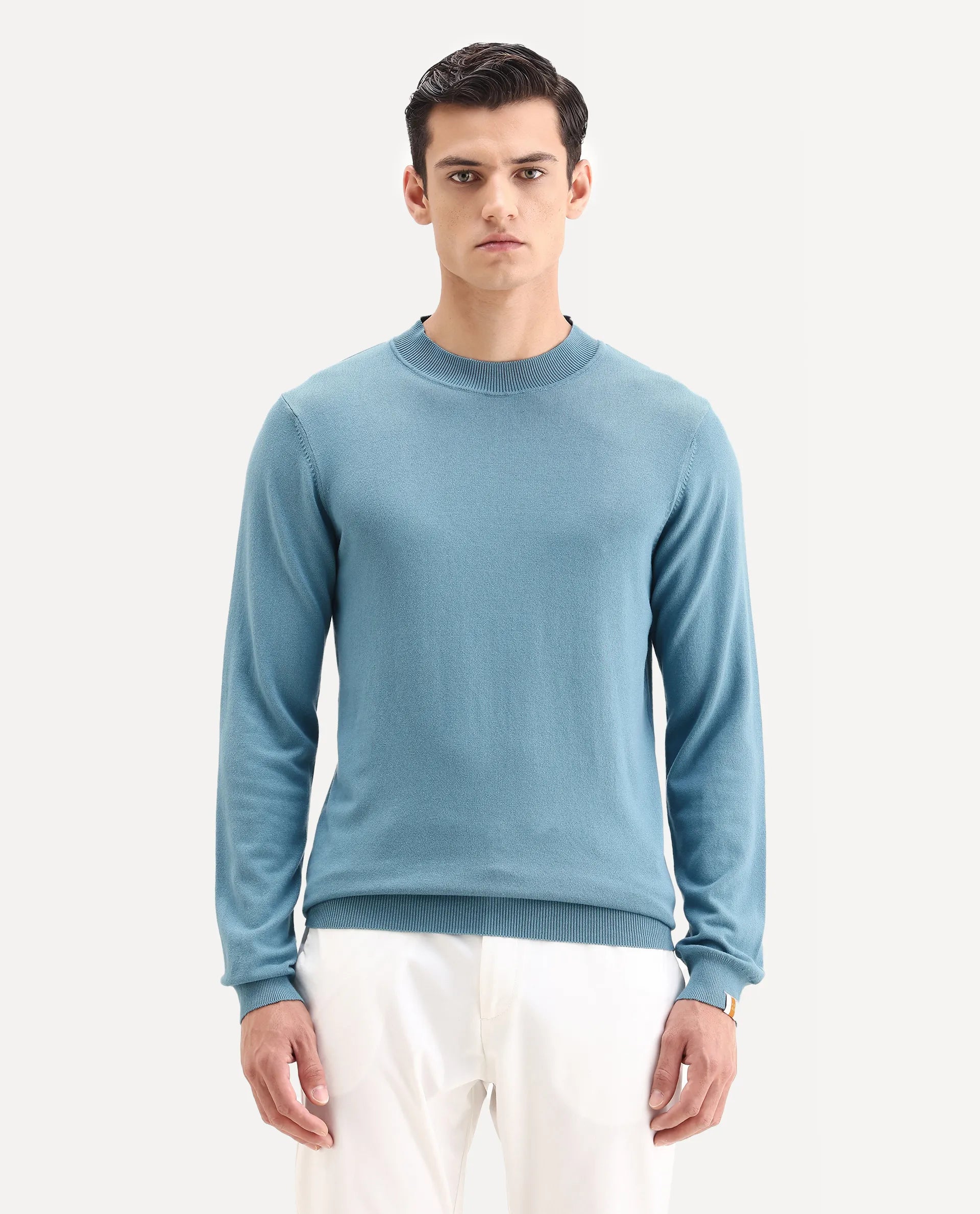 Rare Rabbit Men's Alfo 1 Light Blue Viscose Plain Slim Fit Full Sleeve High Neck Sweater