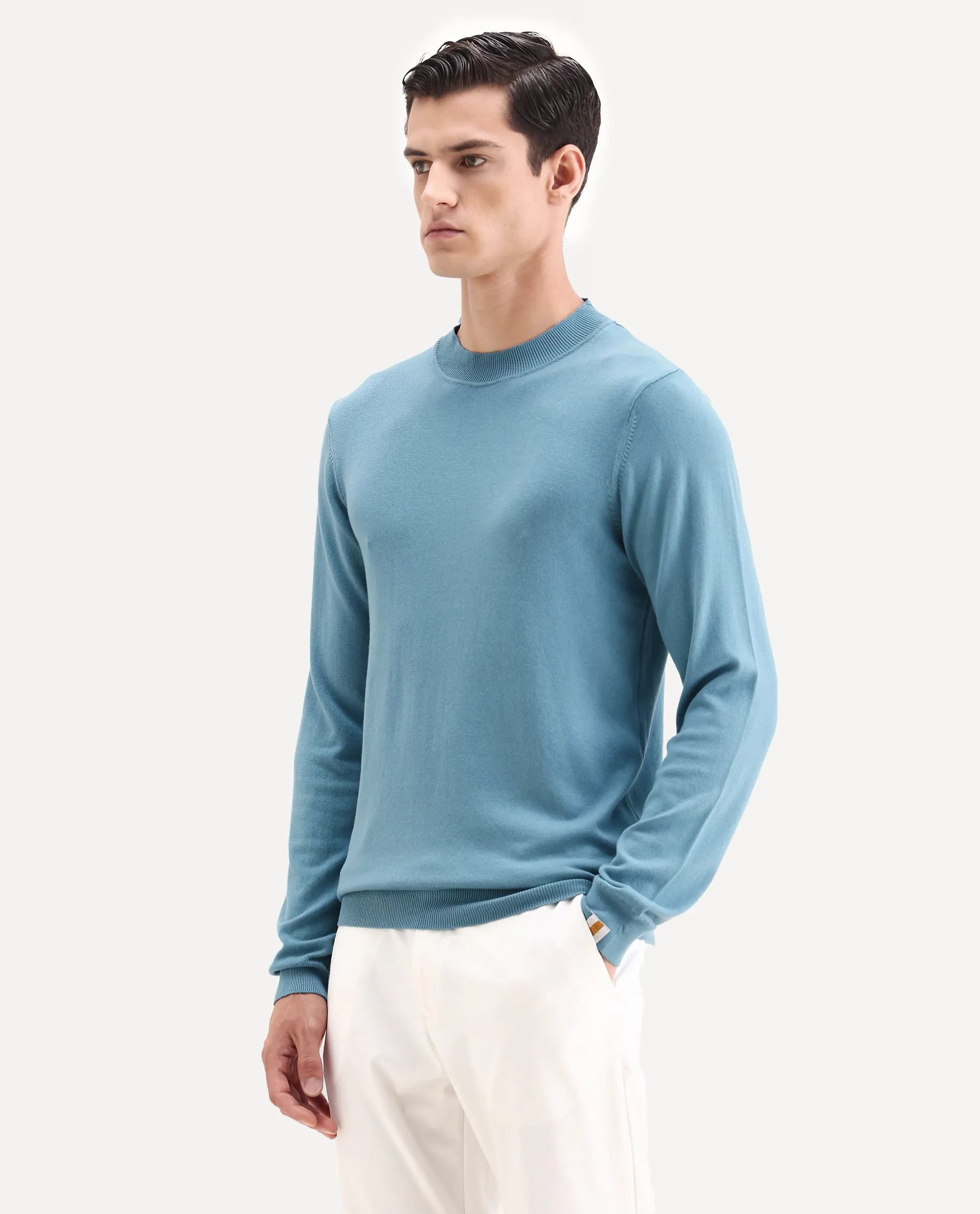 Rare Rabbit Men's Alfo 1 Light Blue Viscose Plain Slim Fit Full Sleeve High Neck Sweater