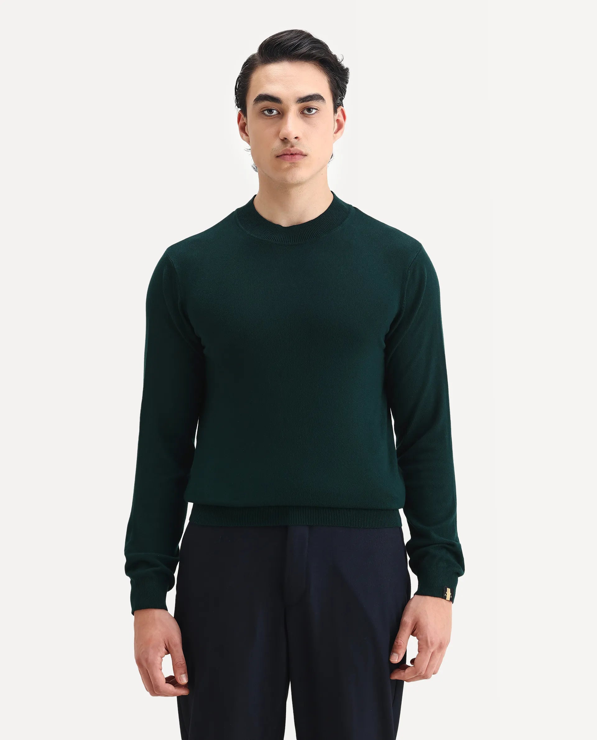 Rare Rabbit Men's Alfo 1 Green Viscose Plain Slim Fit Full Sleeve High Neck Sweater