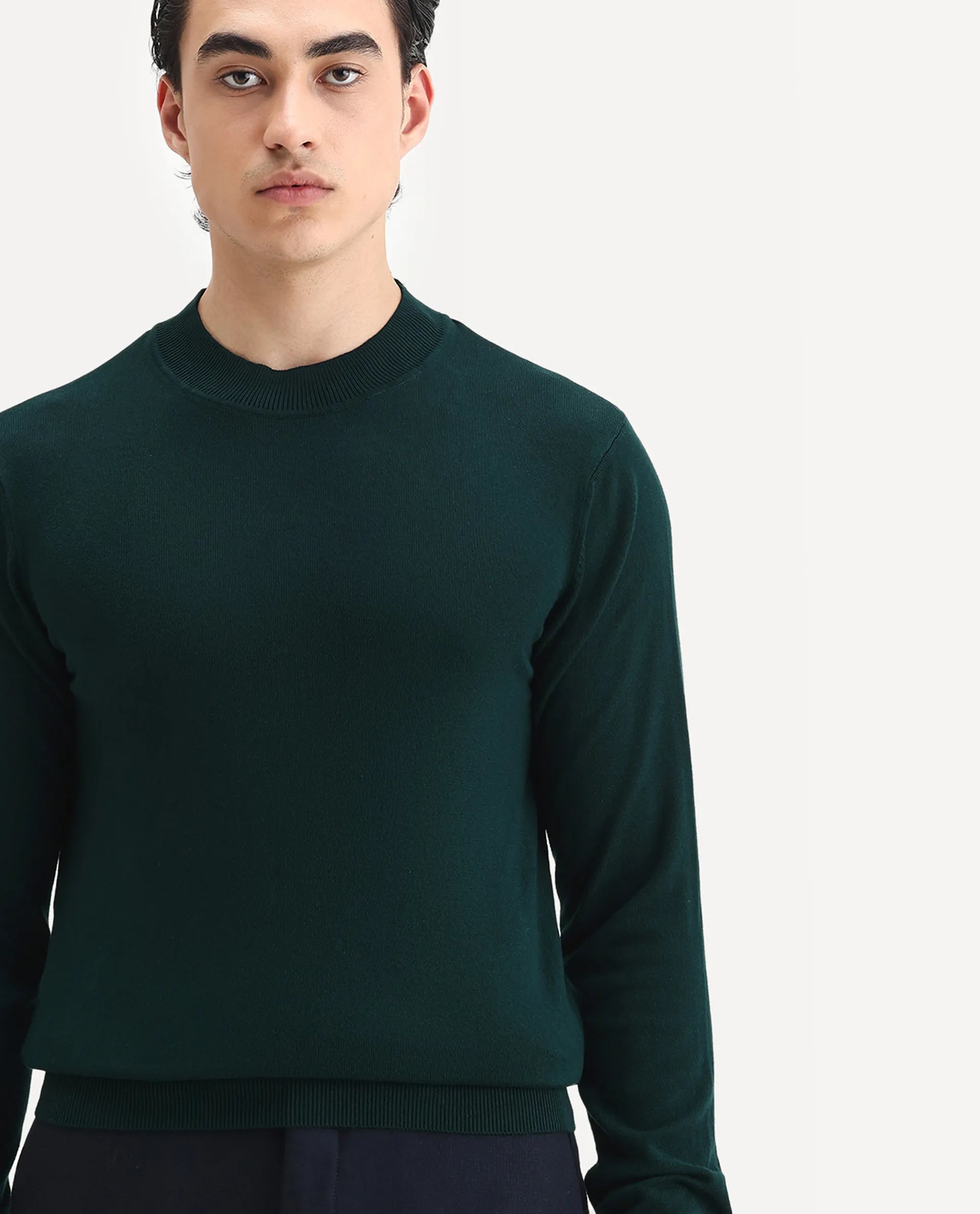 Rare Rabbit Men's Alfo 1 Green Viscose Plain Slim Fit Full Sleeve High Neck Sweater