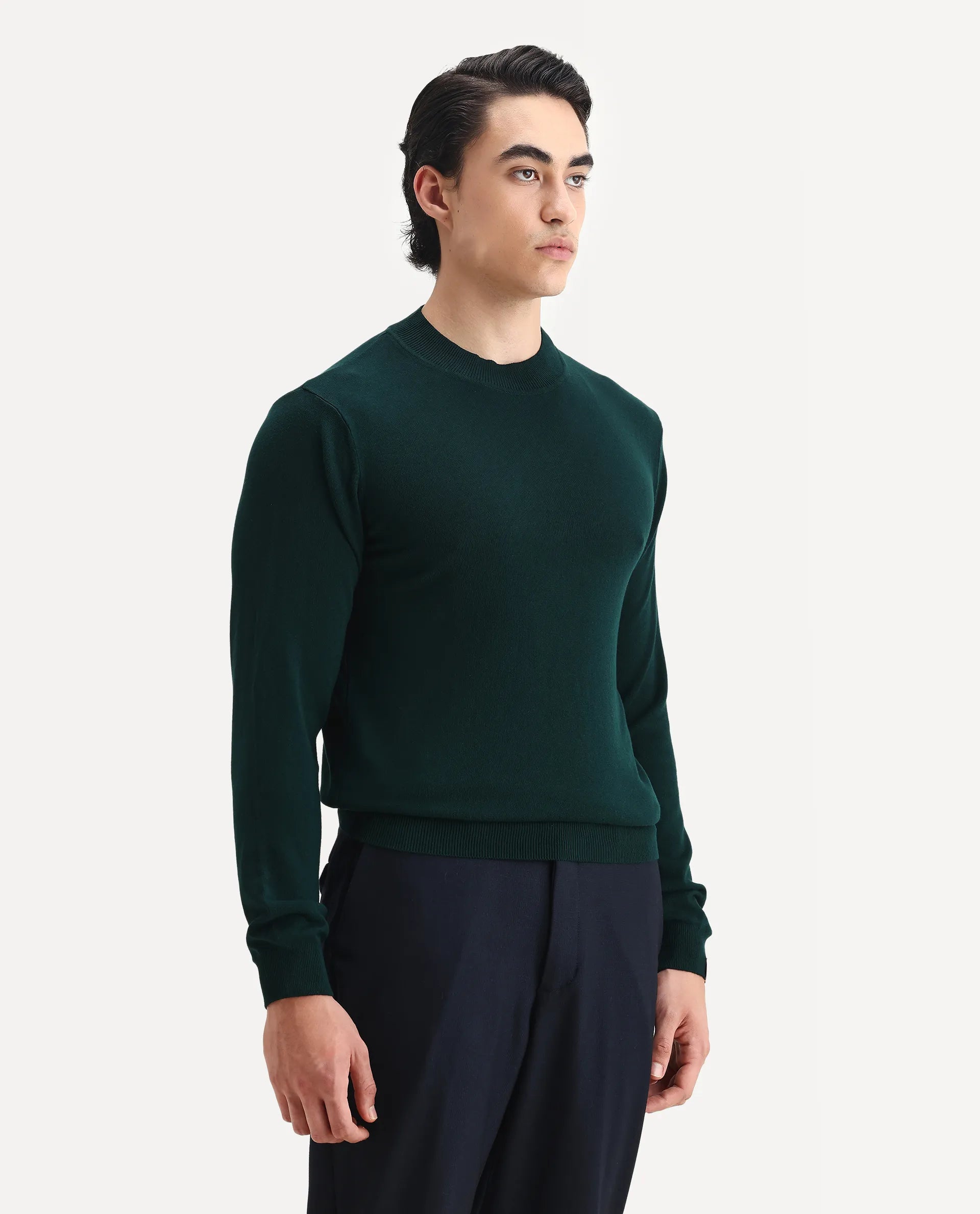 Rare Rabbit Men's Alfo 1 Green Viscose Plain Slim Fit Full Sleeve High Neck Sweater