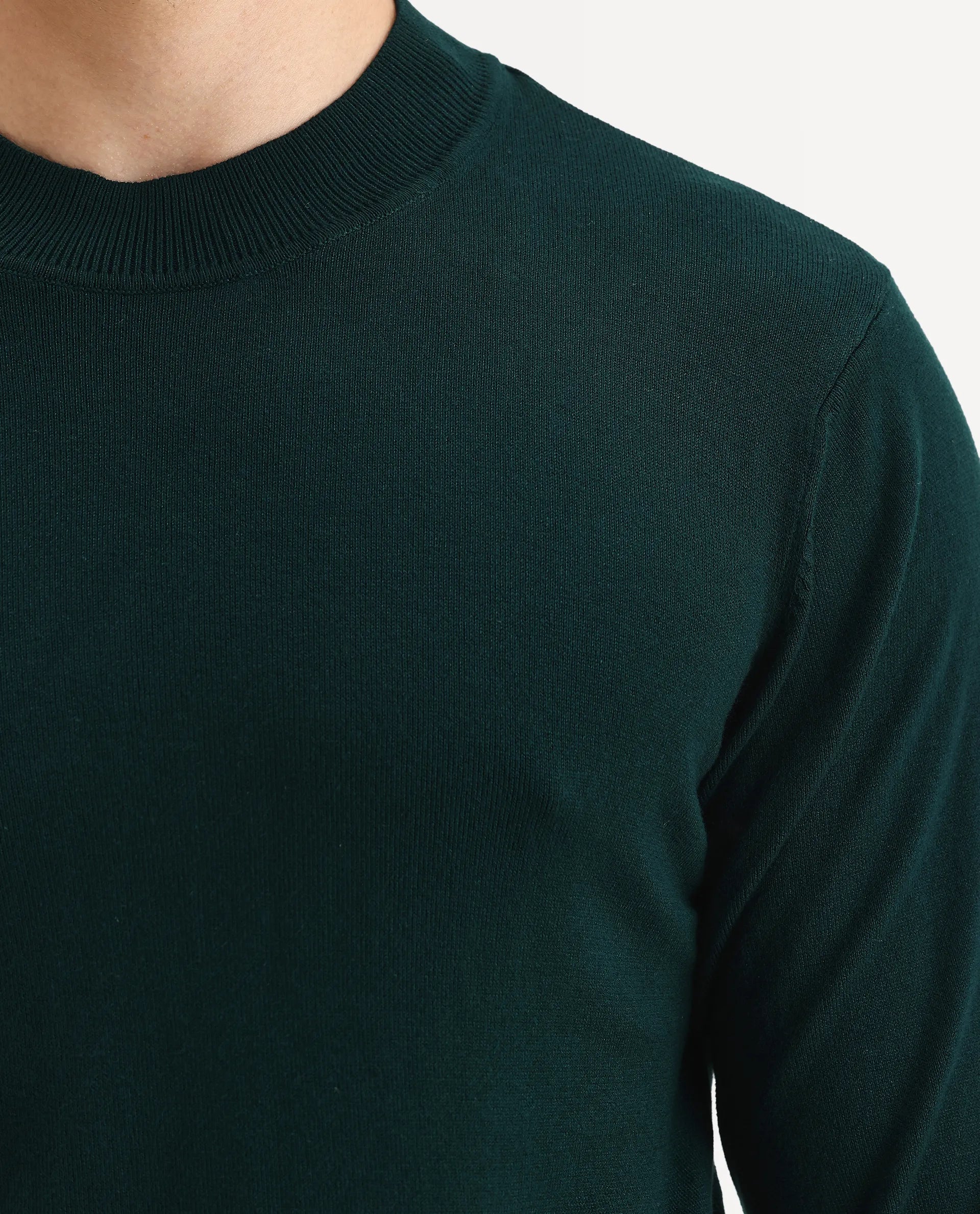 Rare Rabbit Men's Alfo 1 Green Viscose Plain Slim Fit Full Sleeve High Neck Sweater