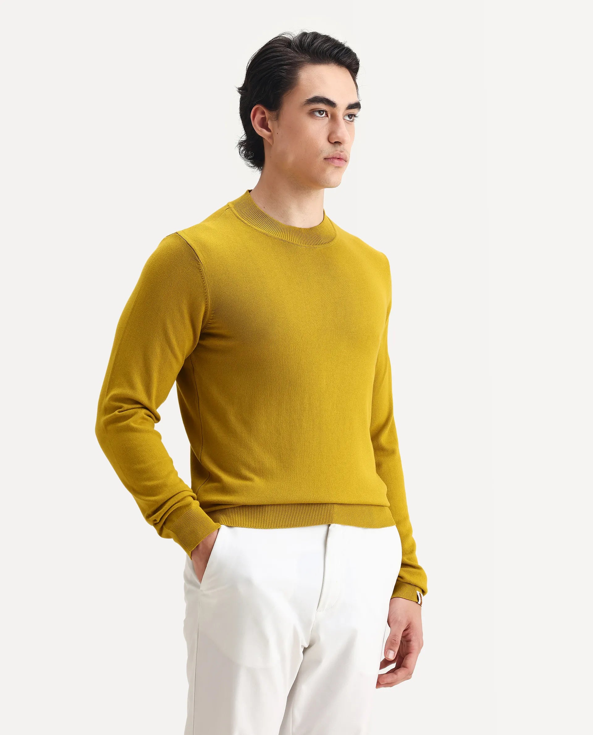 Rare Rabbit Men's Alfo 1 Mustard Viscose Plain Slim Fit Full Sleeve High Neck Sweater