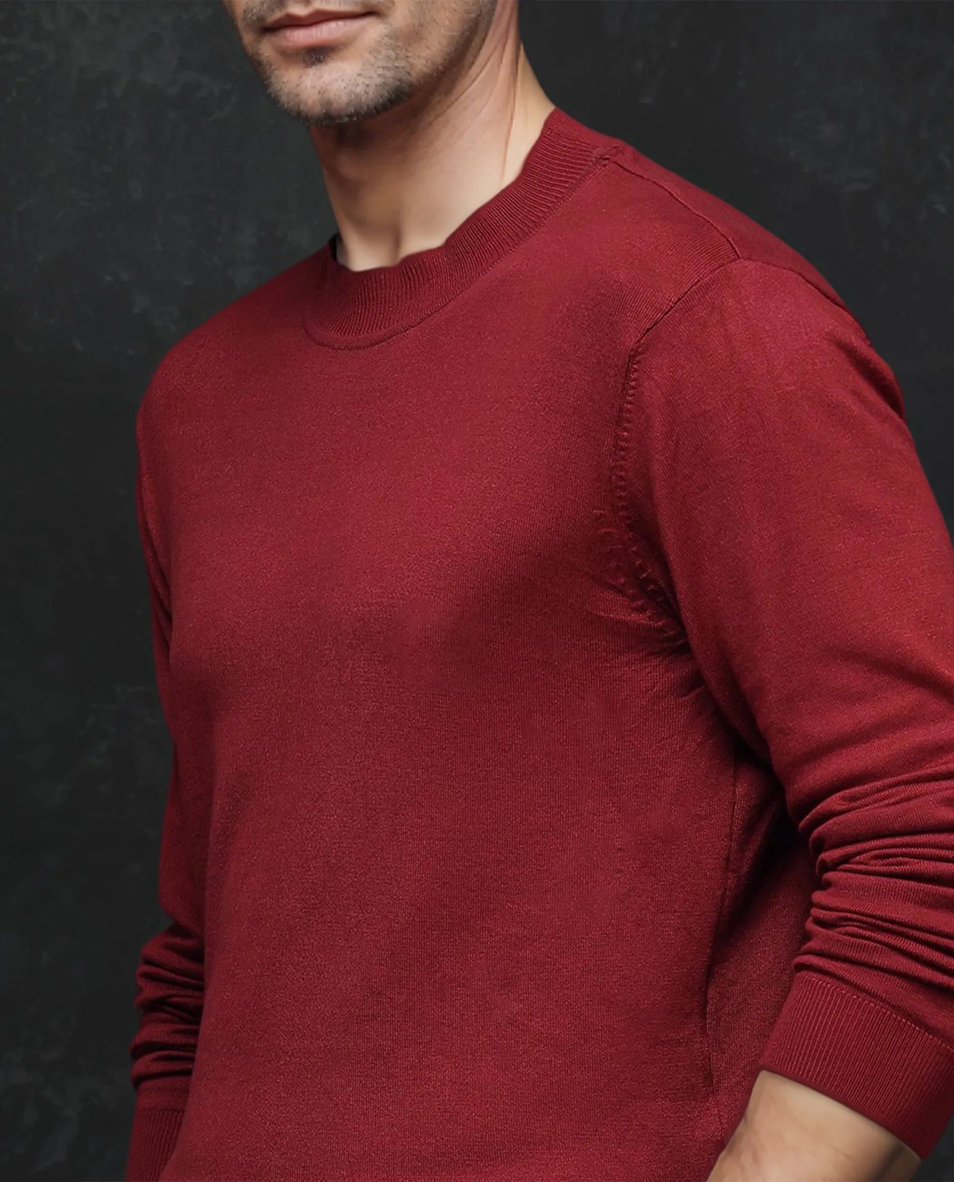 Rare Rabbit Men's Alfot Red Viscose Nylon Fabric Full Sleeve High Neck Regular Fit Plain Sweater
