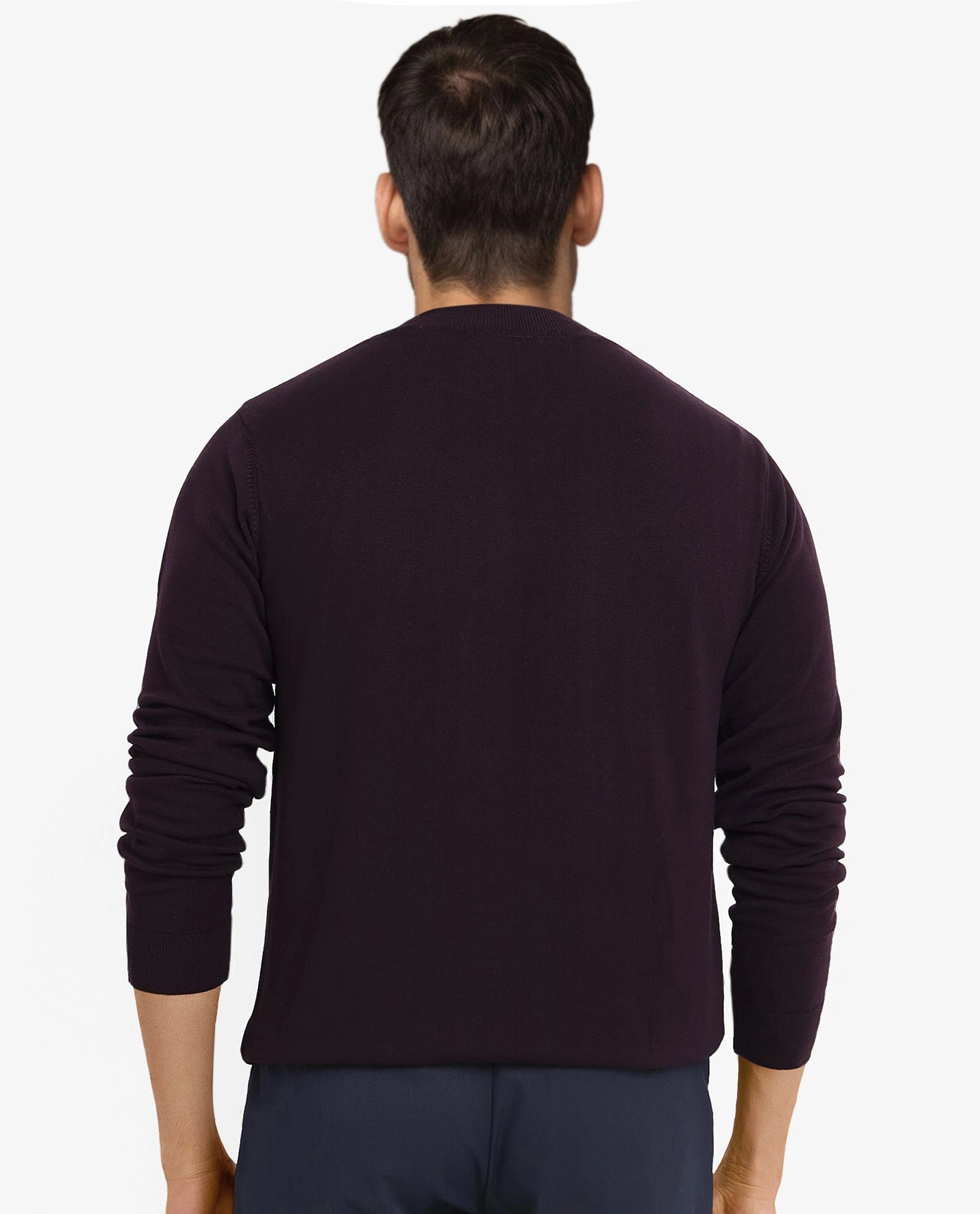 Rare Rabbit Men's Alfot Dark Purple Viscose Nylon Fabric Full Sleeve High Neck Regular Fit Plain Sweater