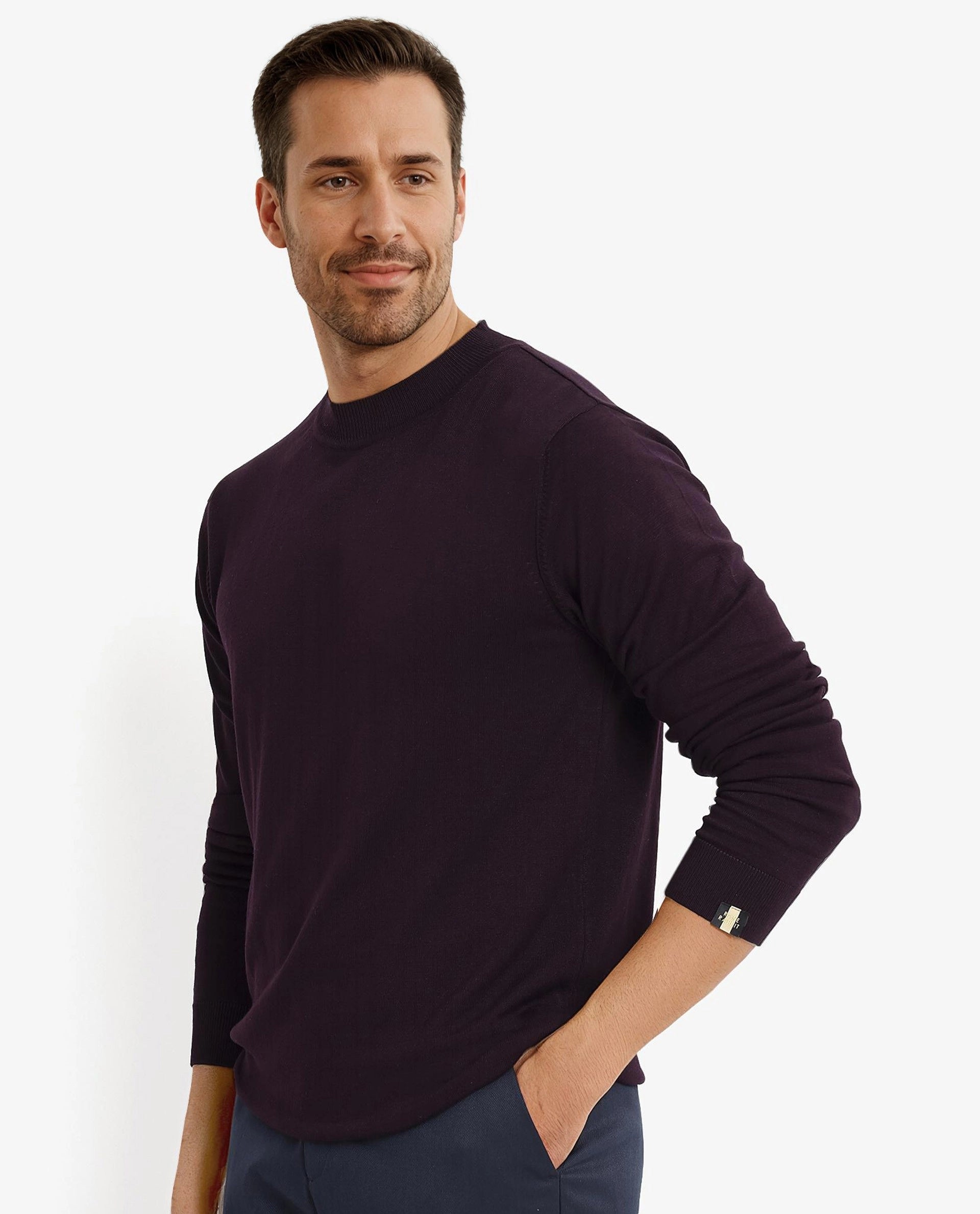 Rare Rabbit Men's Alfot Dark Purple Viscose Nylon Fabric Full Sleeve High Neck Regular Fit Plain Sweater