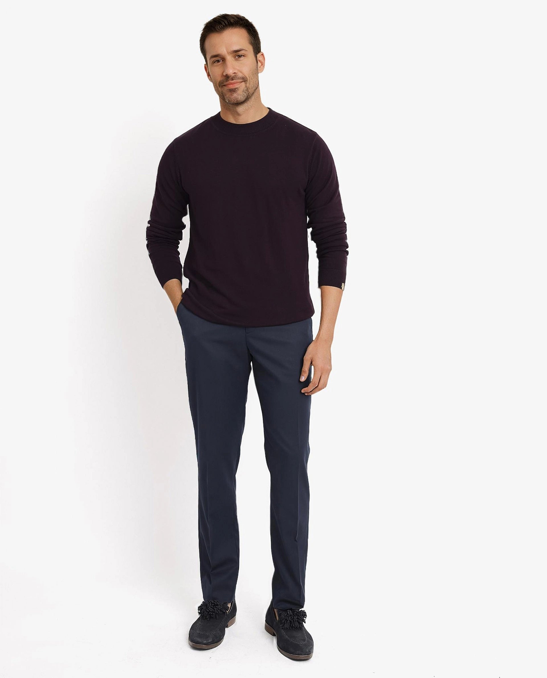 Rare Rabbit Men's Alfot Dark Purple Viscose Nylon Fabric Full Sleeve High Neck Regular Fit Plain Sweater